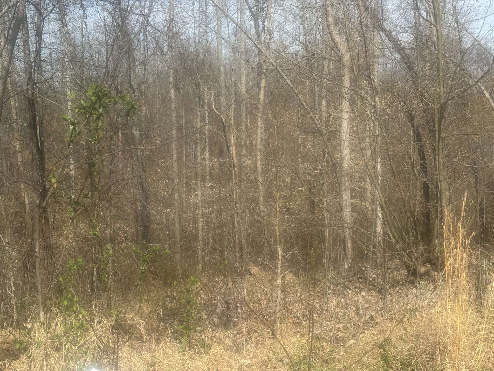 0 Ridgeway Drive, Smithville, TN 37166