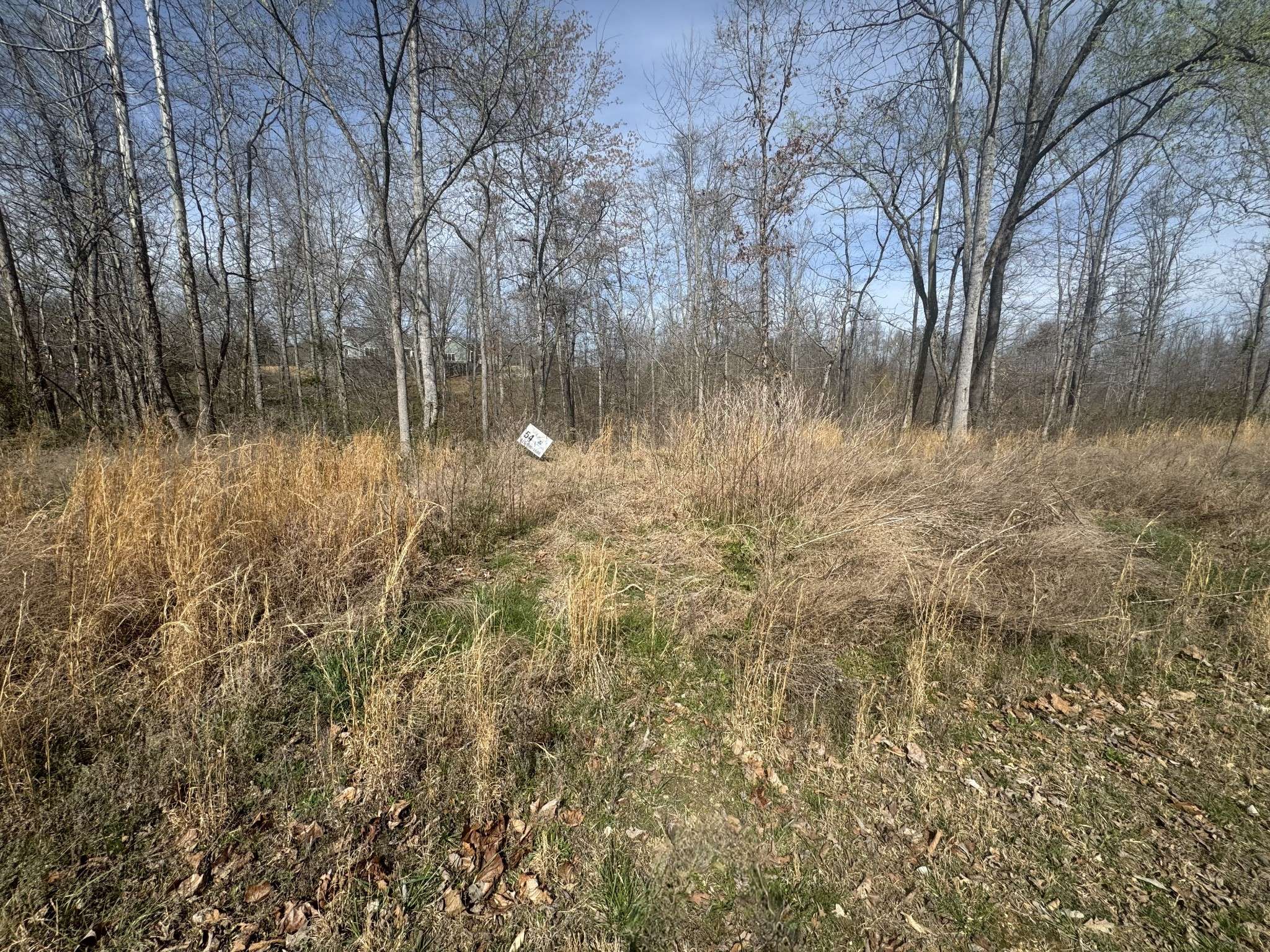 0 Ridgeway Drive, Smithville, TN 37166