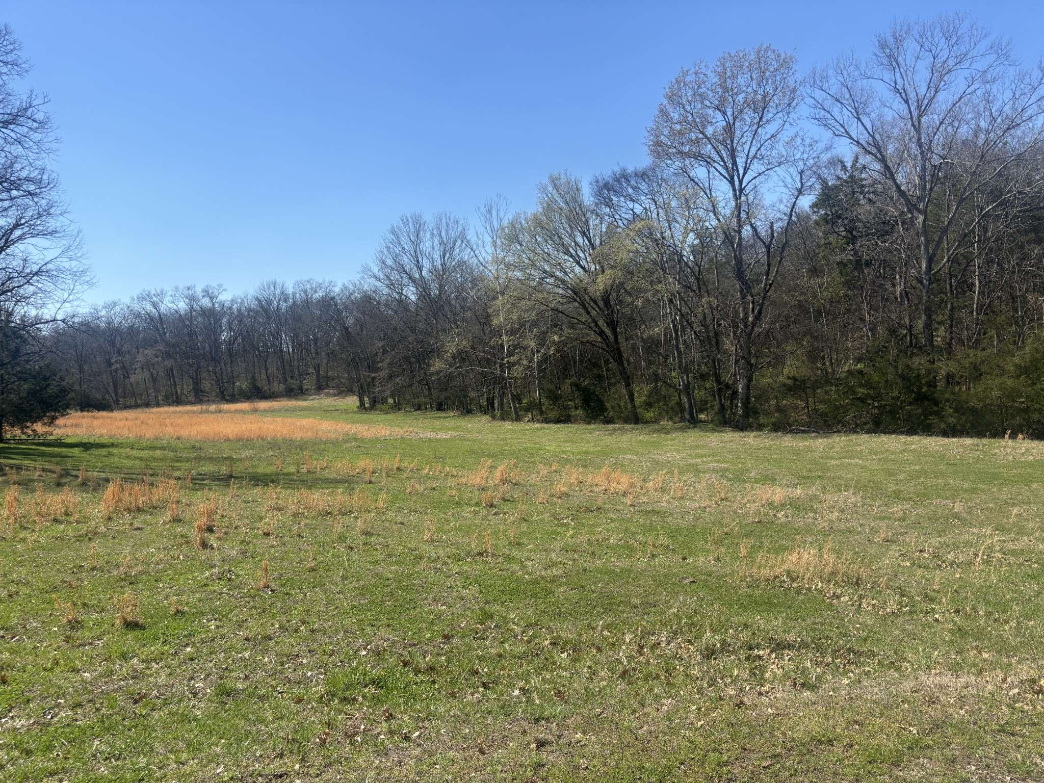9849 Sam Donald Rd, Nolensville, TN 37135