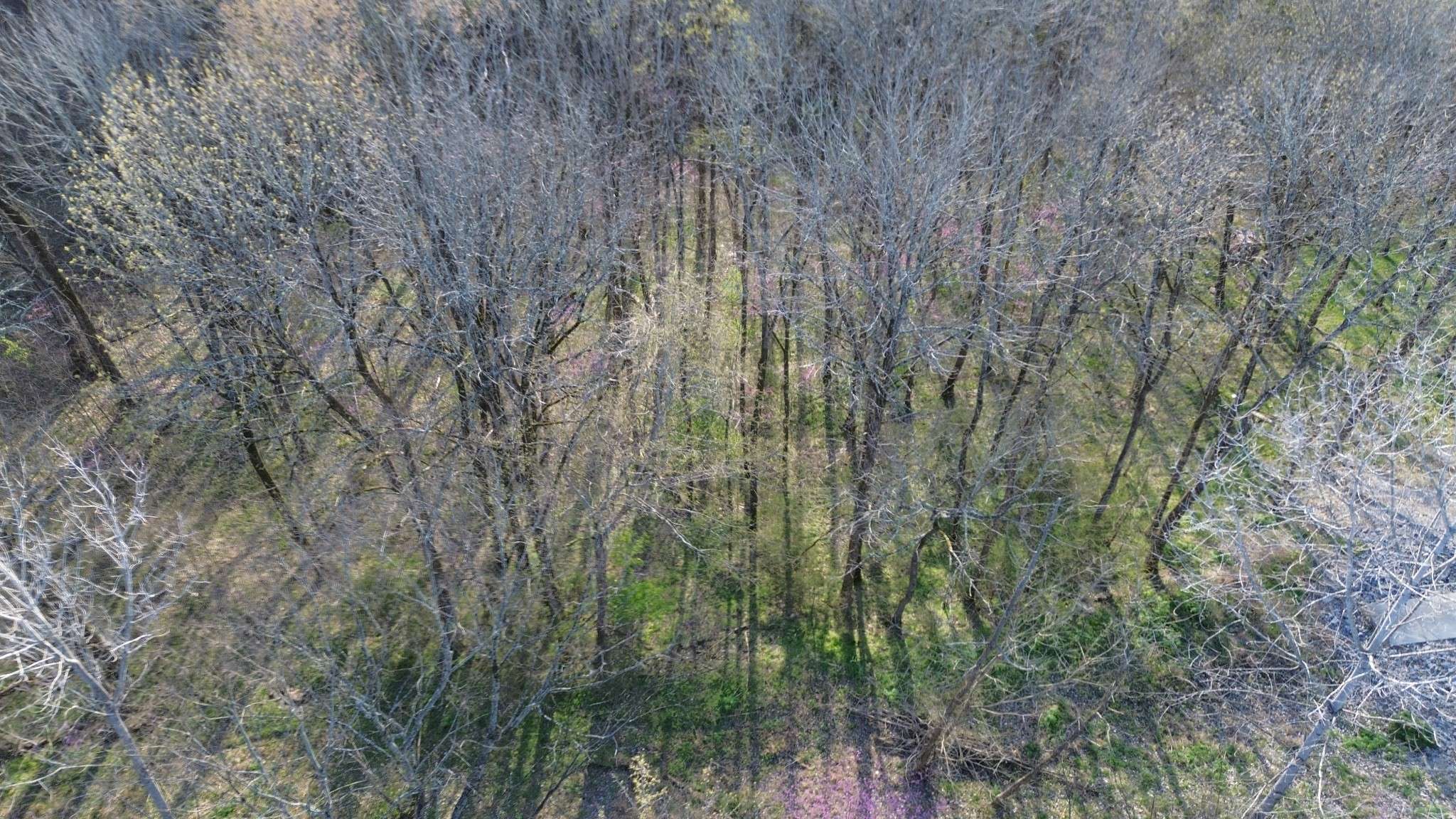 0 Wilson Cir, Smithville, TN 37166