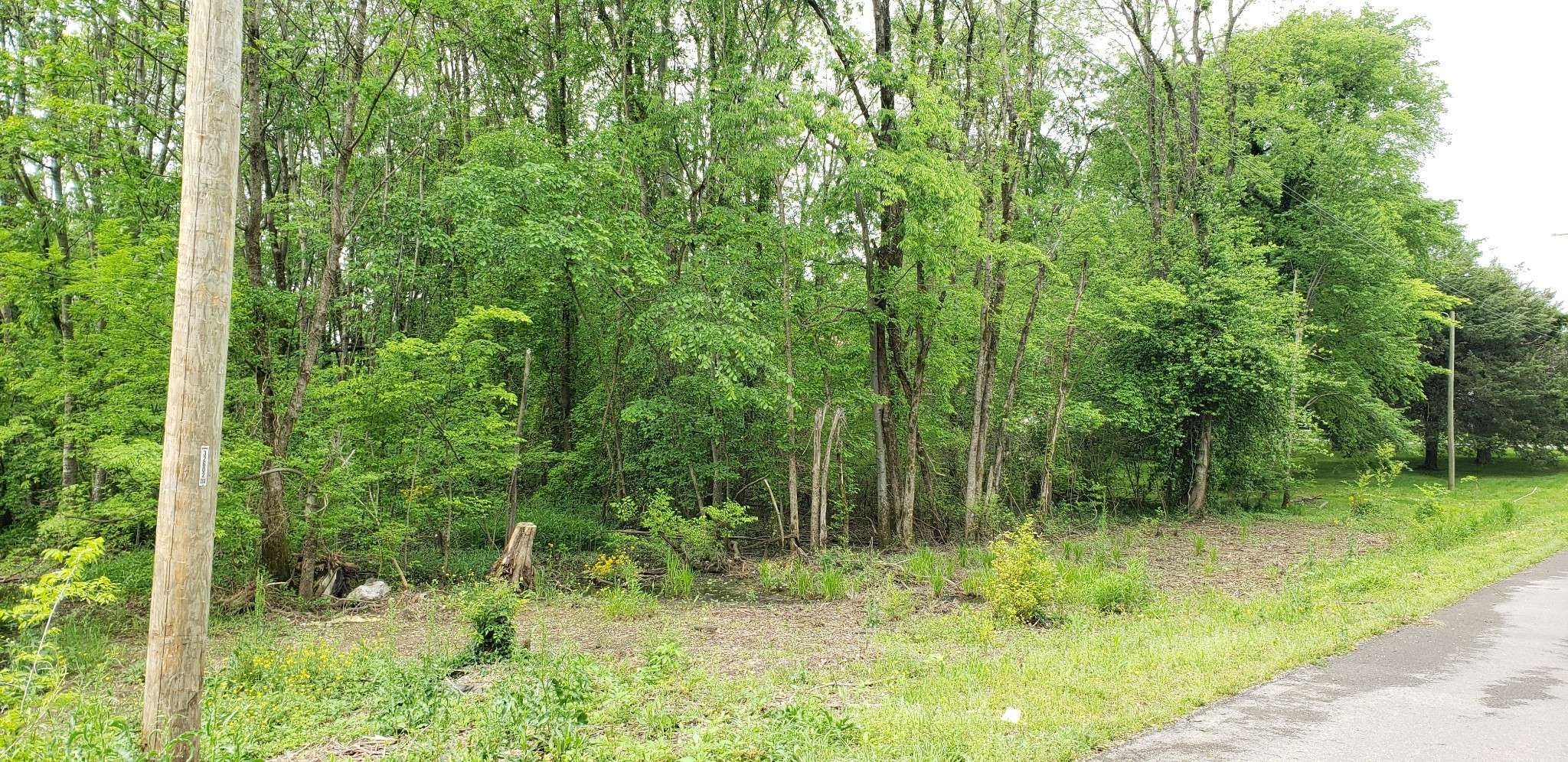 0 Caroline Dr, Murfreesboro, TN 37128