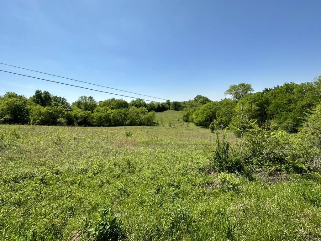2850 Elkton Pike, Pulaski, TN 38478