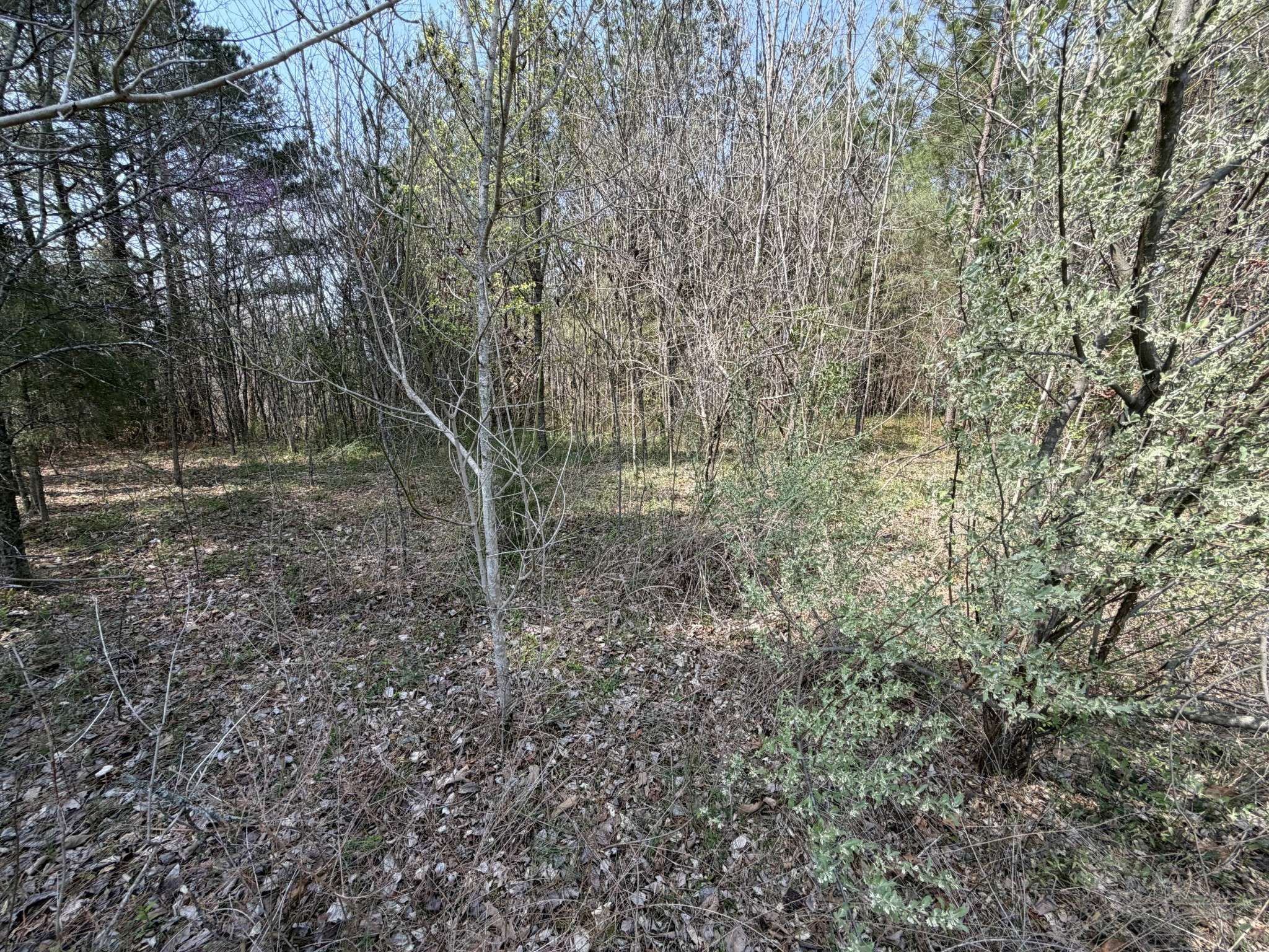5106 Workman Rd, Southside, TN 37171