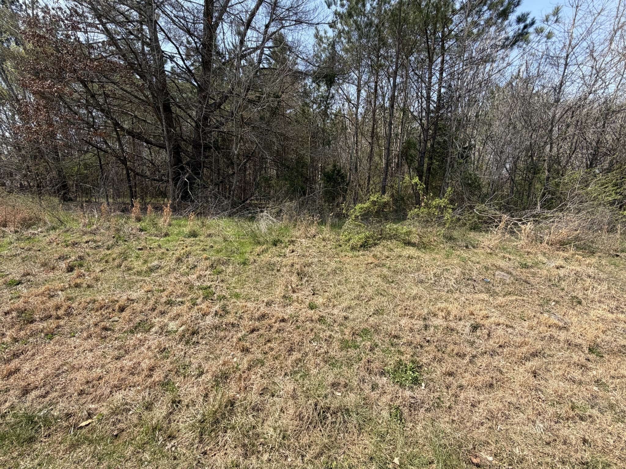 5106 Workman Rd, Southside, TN 37171