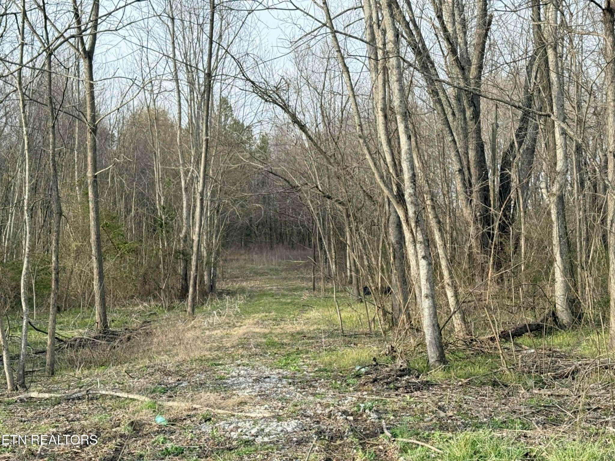 1115 Frank Campbell Rd, Jamestown, TN 38556