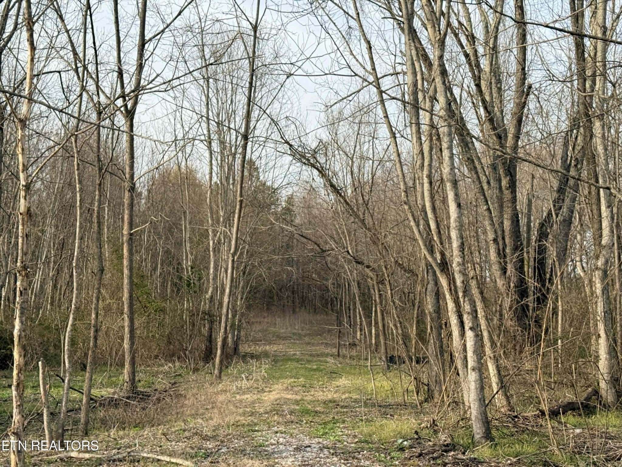 1115 Frank Campbell Rd, Jamestown, TN 38556