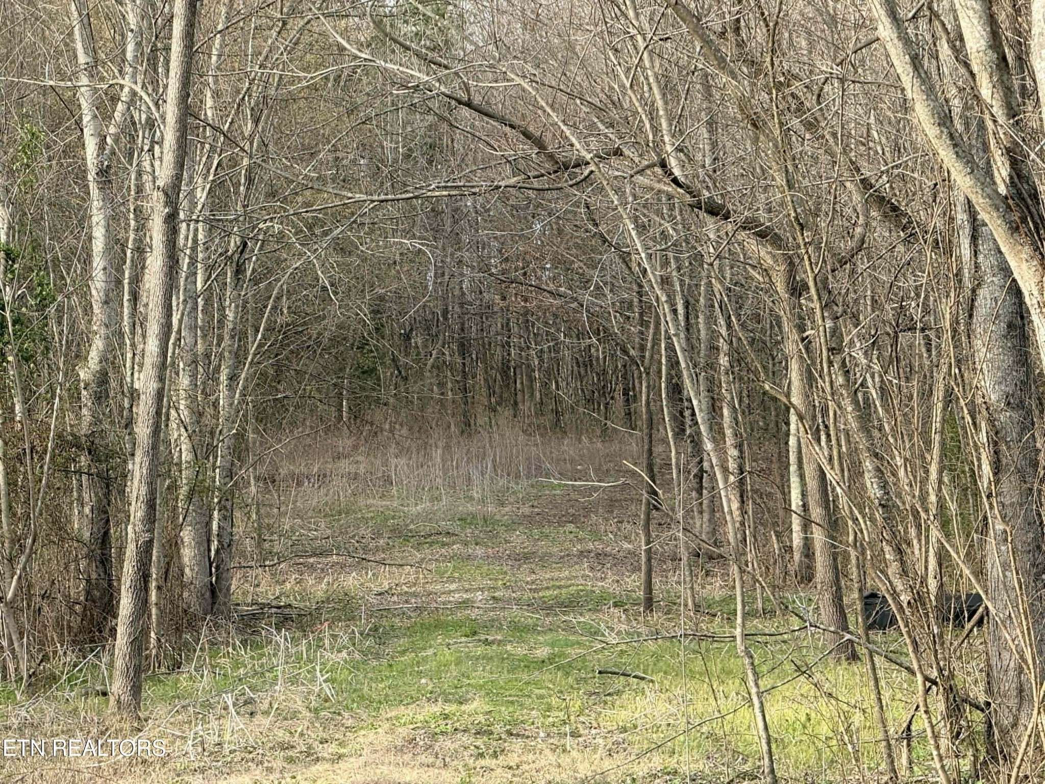 1115 Frank Campbell Rd, Jamestown, TN 38556
