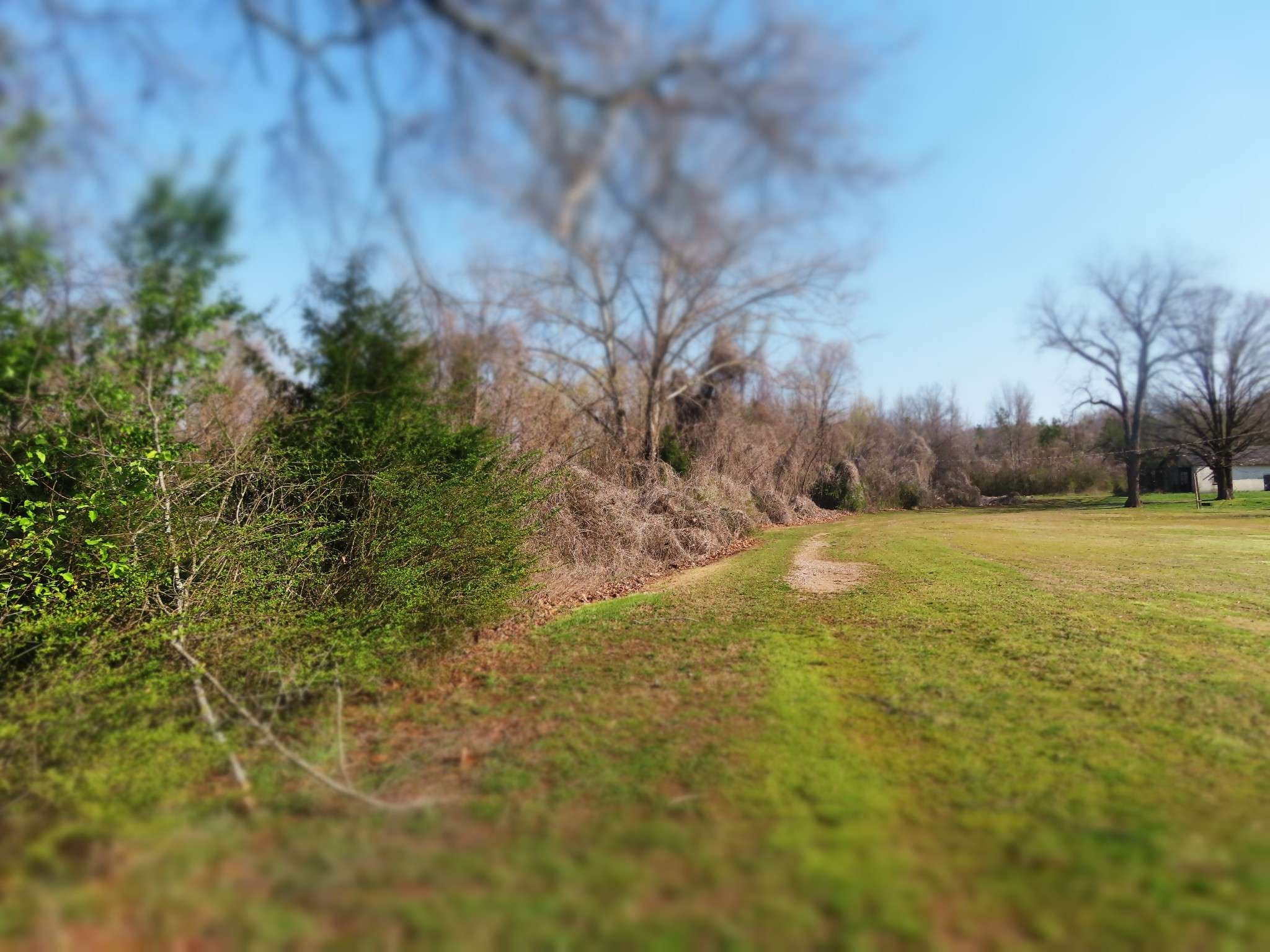 0 HIGHWAY 125 N, Toone, TN 38381