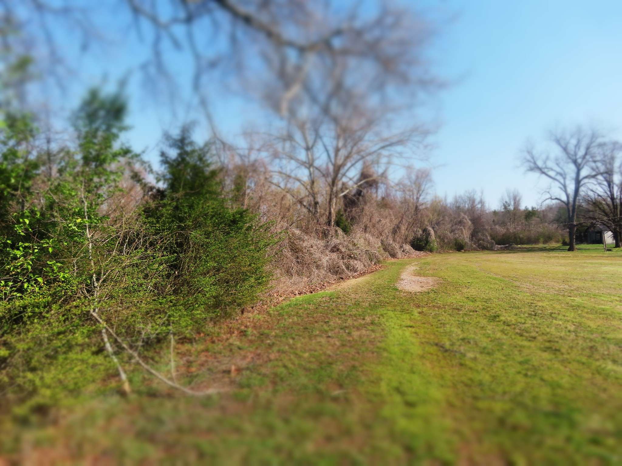 0 HIGHWAY 125 N, Toone, TN 38381