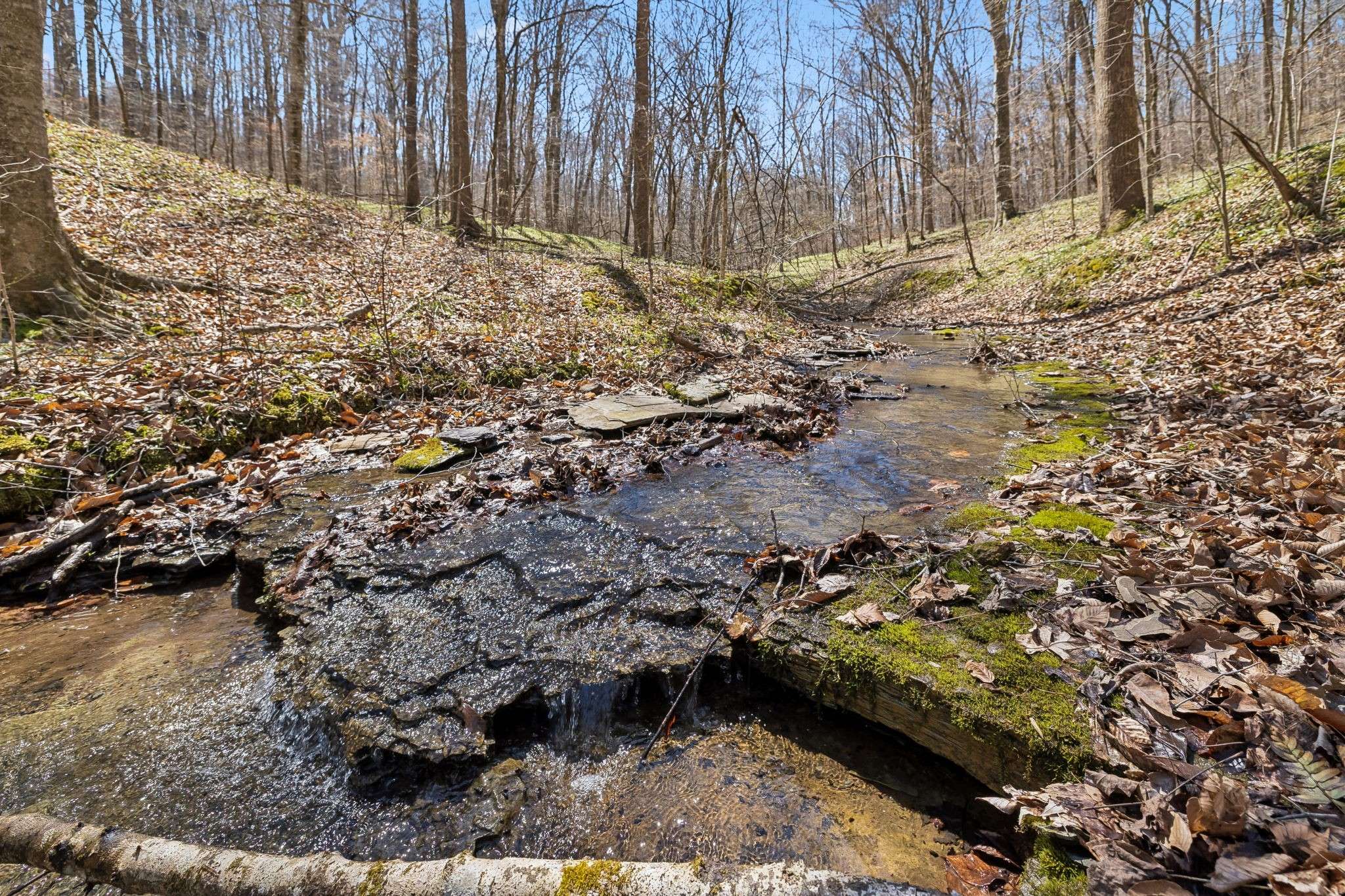 3819 Bear Creek Rd, Thompsons Station, TN 37179