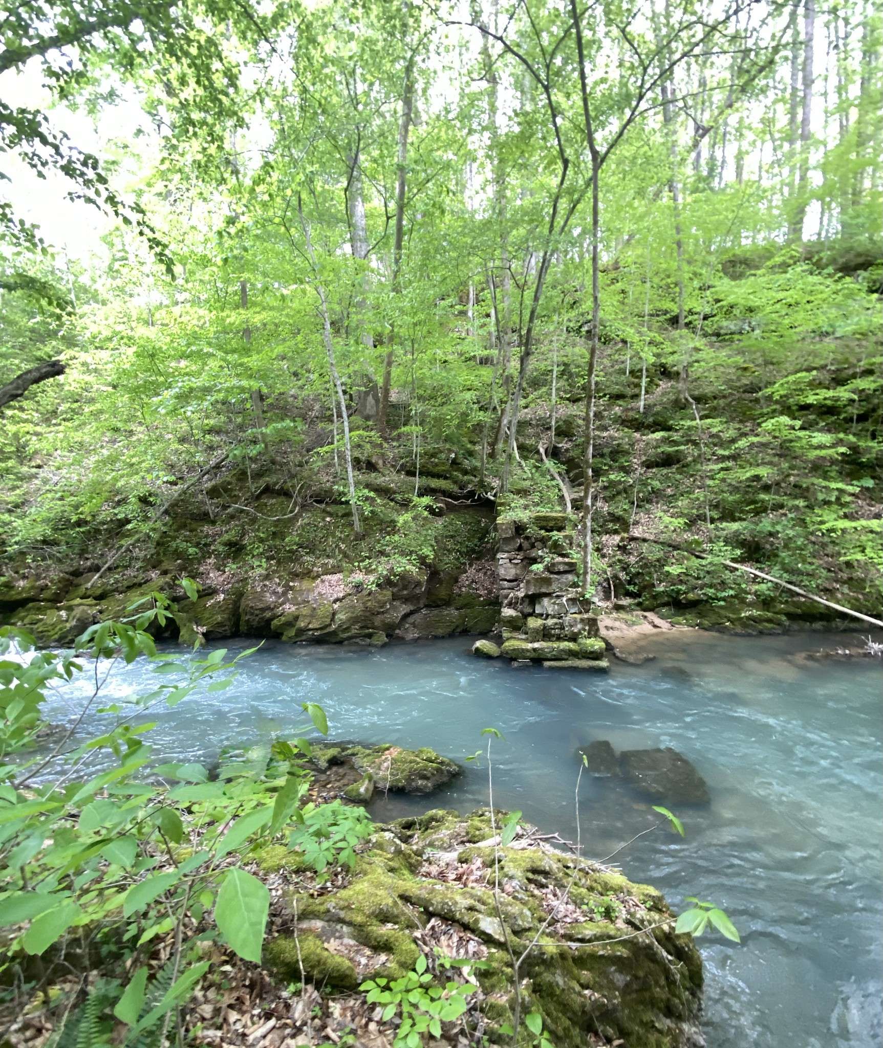 8450 Old Highway 28, Pikeville, TN 37367
