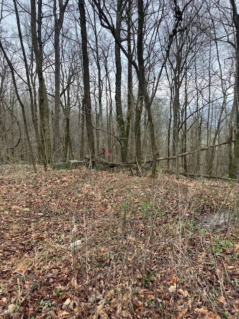 0 Talley Top Trl, Huntland, TN 37345