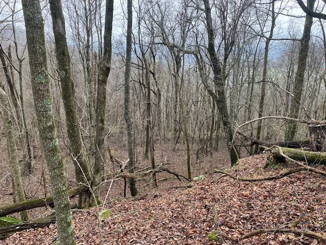 0 Talley Top Trl, Huntland, TN 37345