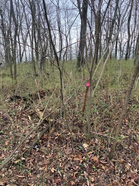 0 Talley Top Trl, Huntland, TN 37345