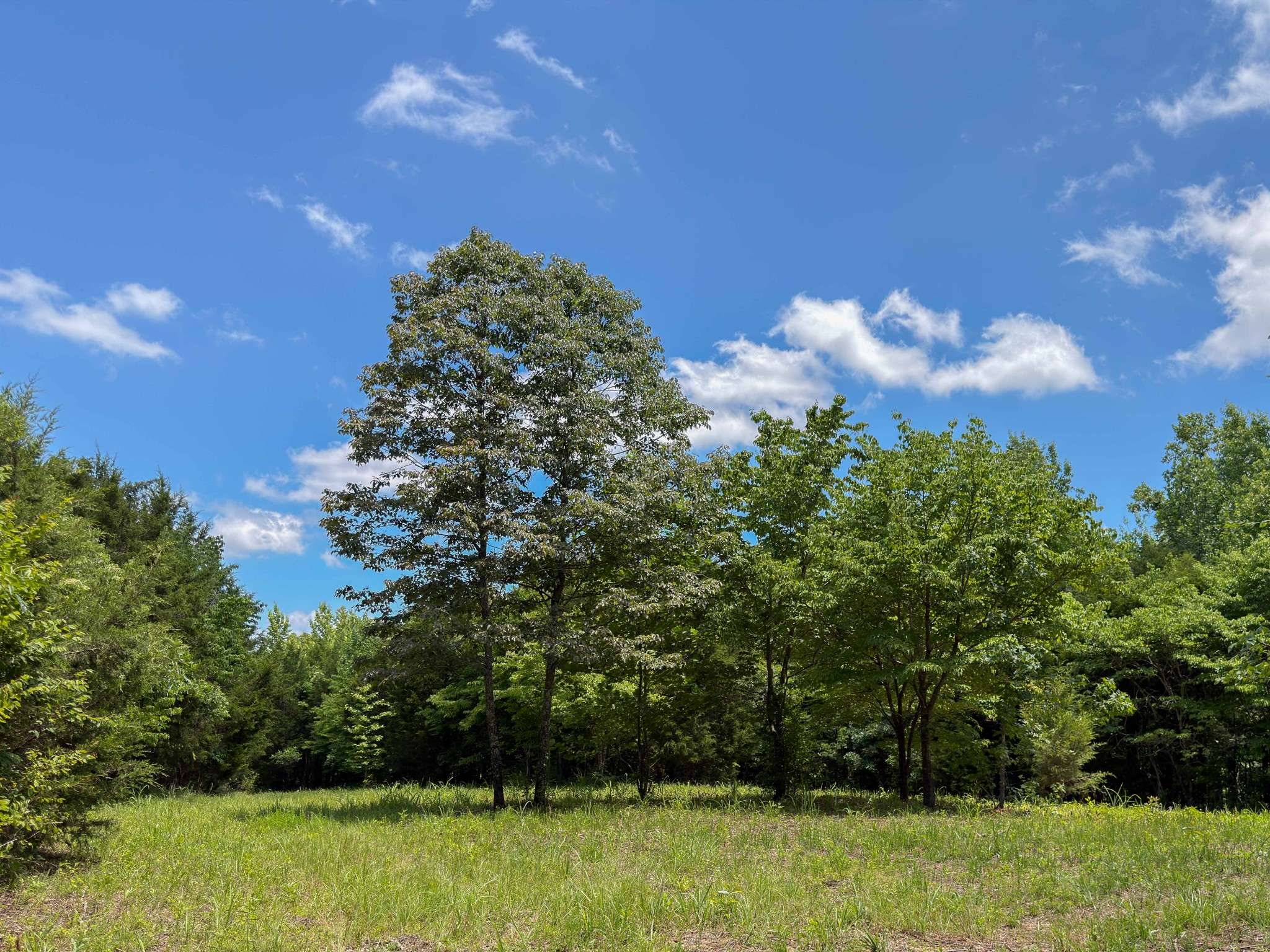 1 Highway 49 W, Ashland City, TN 37015