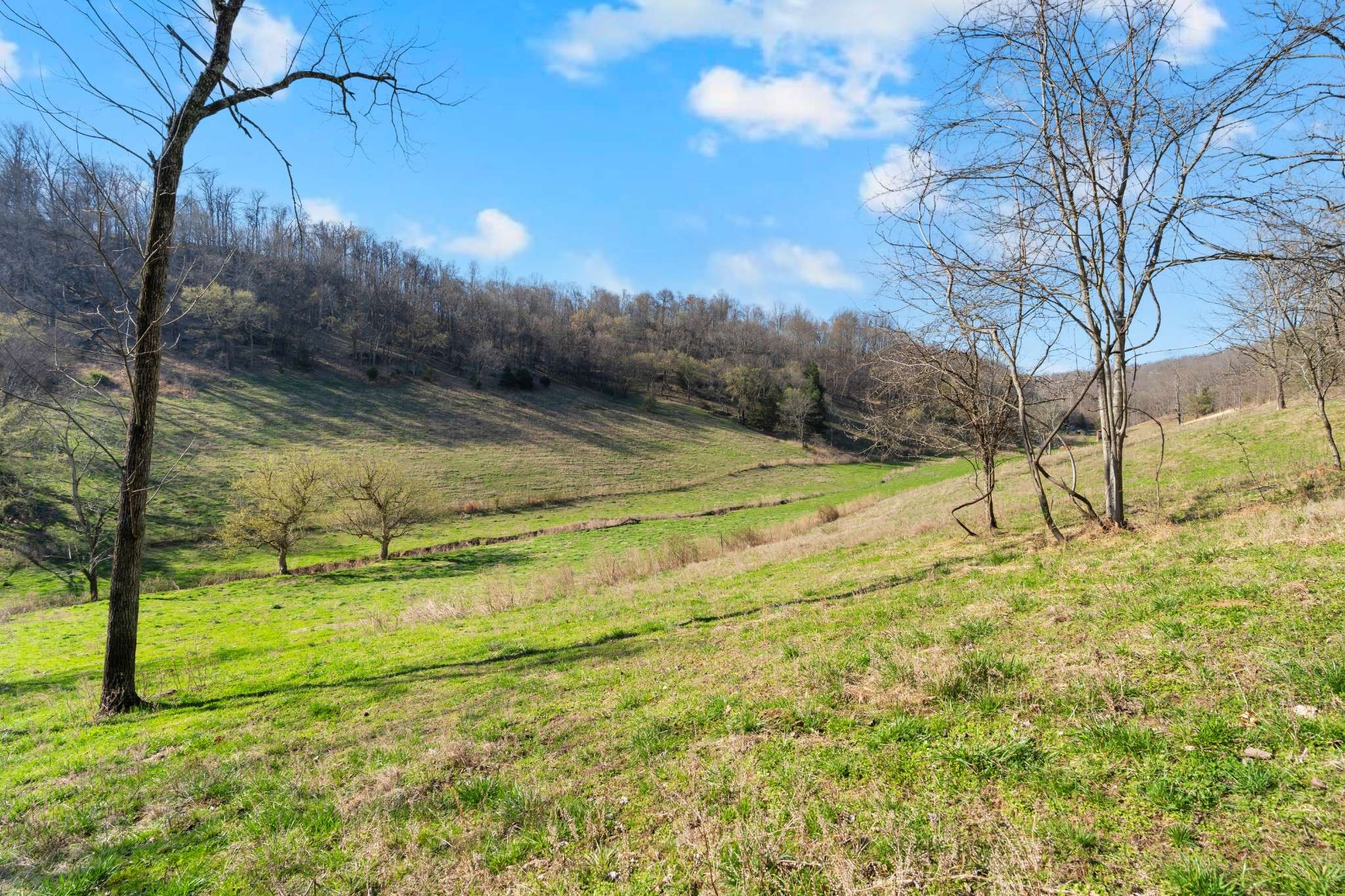 546 Womack Hollow Rd, Liberty, TN 37095