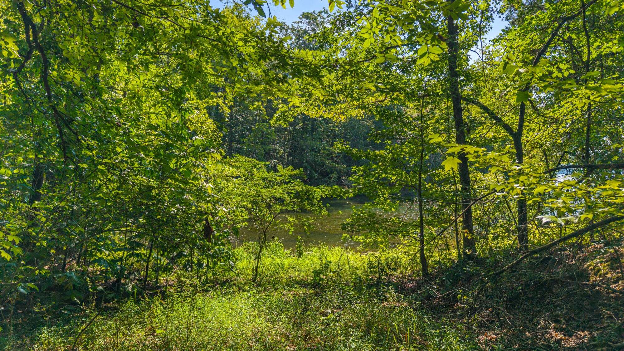 0 Eagle Point Drive, Rockwood, TN 37854