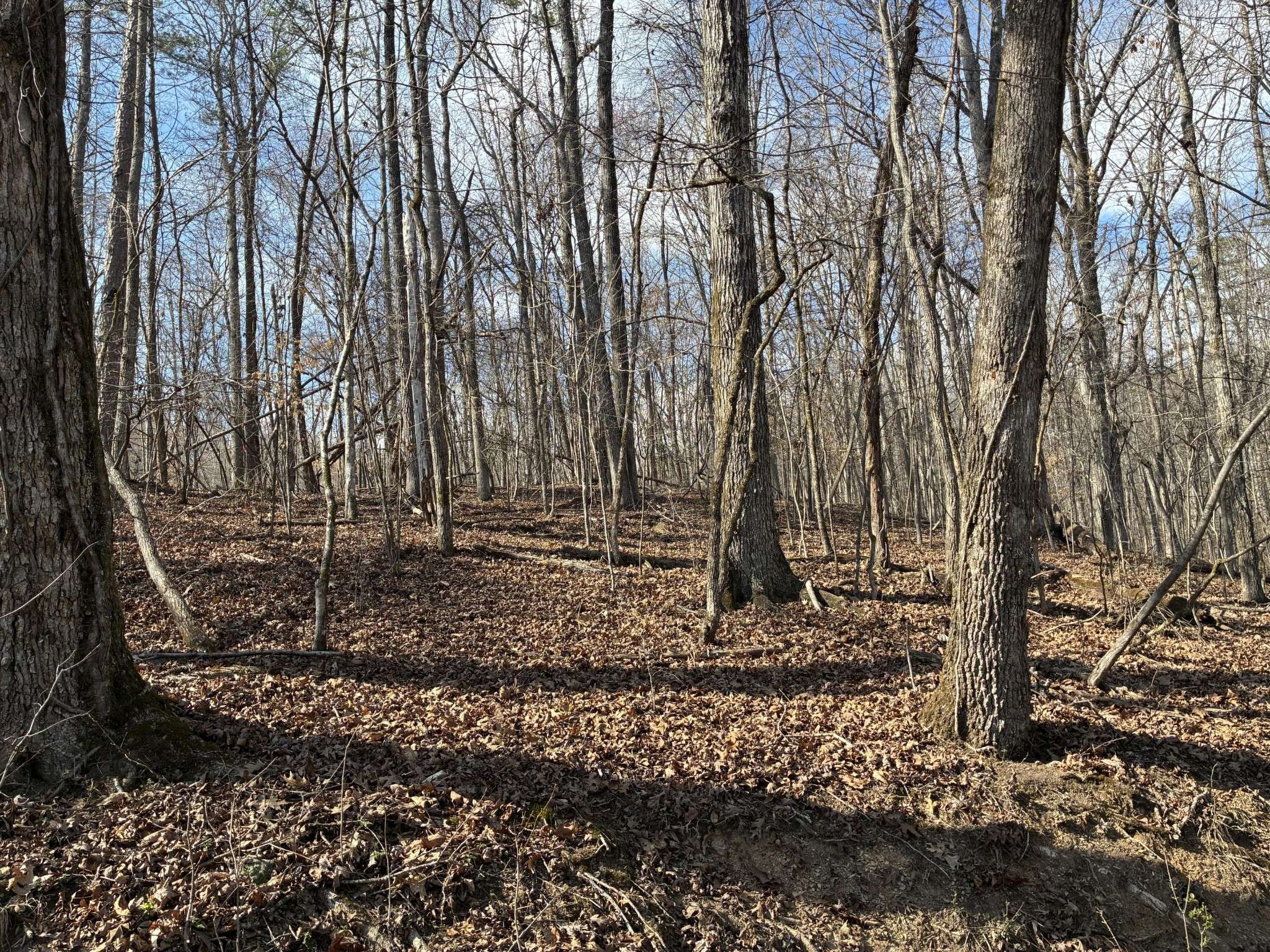 0 Eagle Point Drive, Rockwood, TN 37854