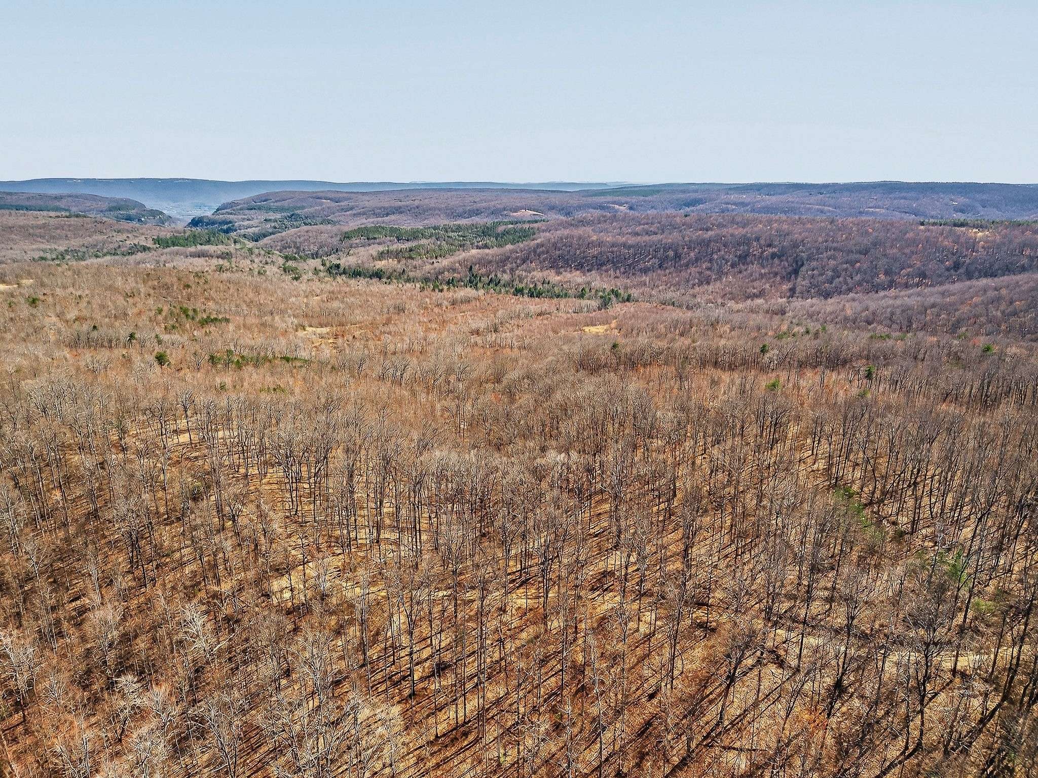 253 Daus Mountain Rd, Palmer, TN 37365