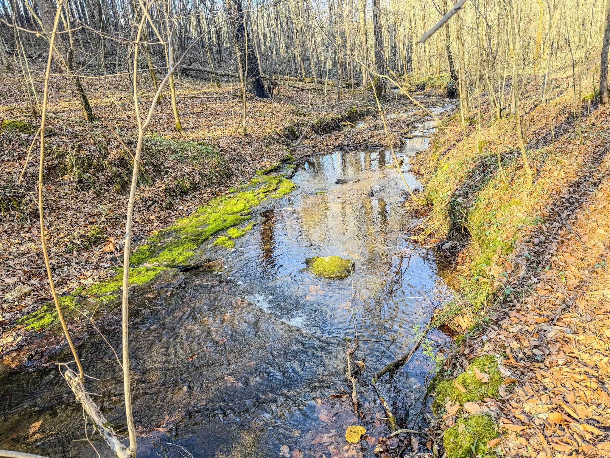 0 Bryant Boswell Rd, Westpoint, TN 38486