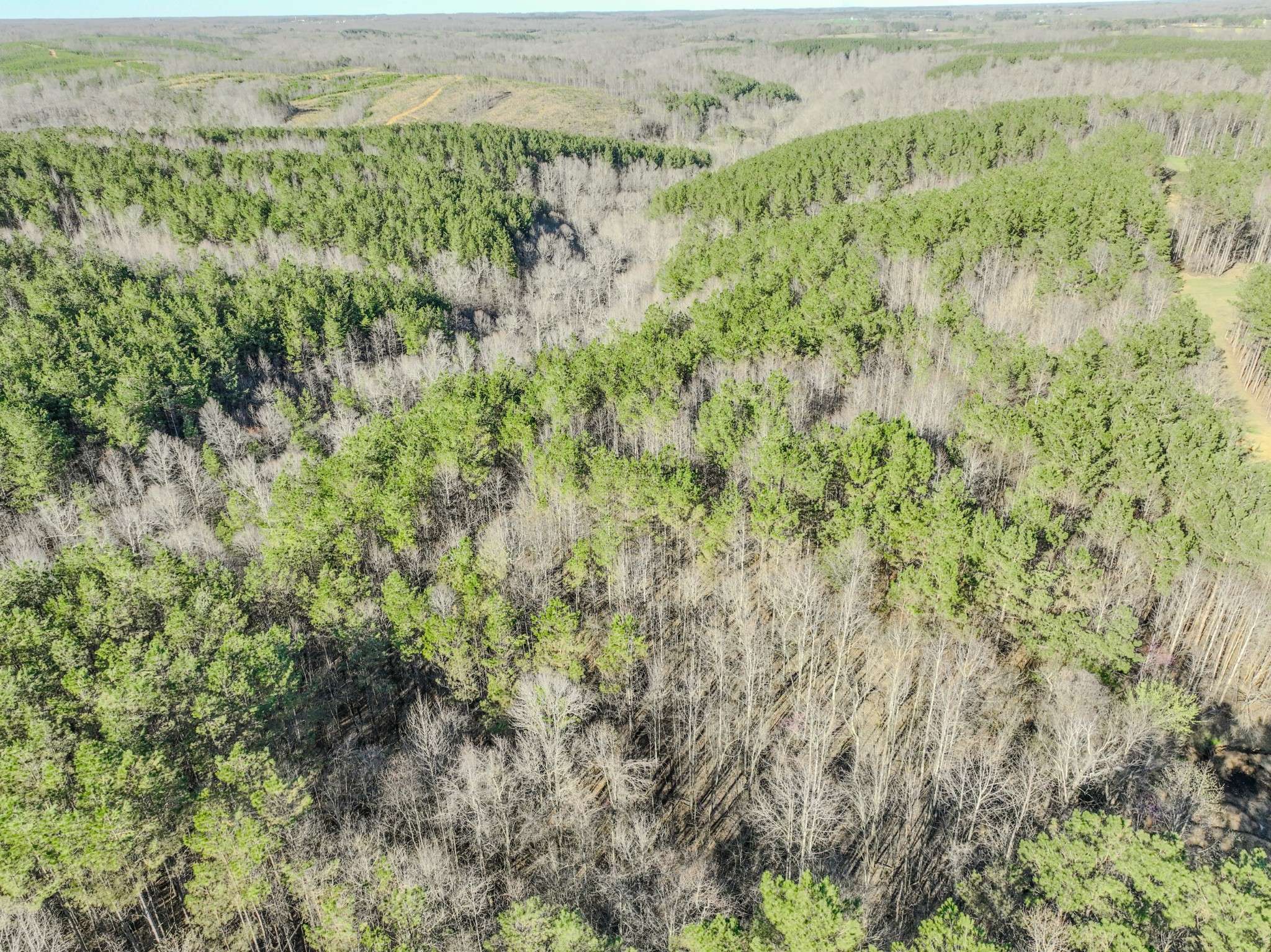 0 Bryant Boswell Rd, Westpoint, TN 38486