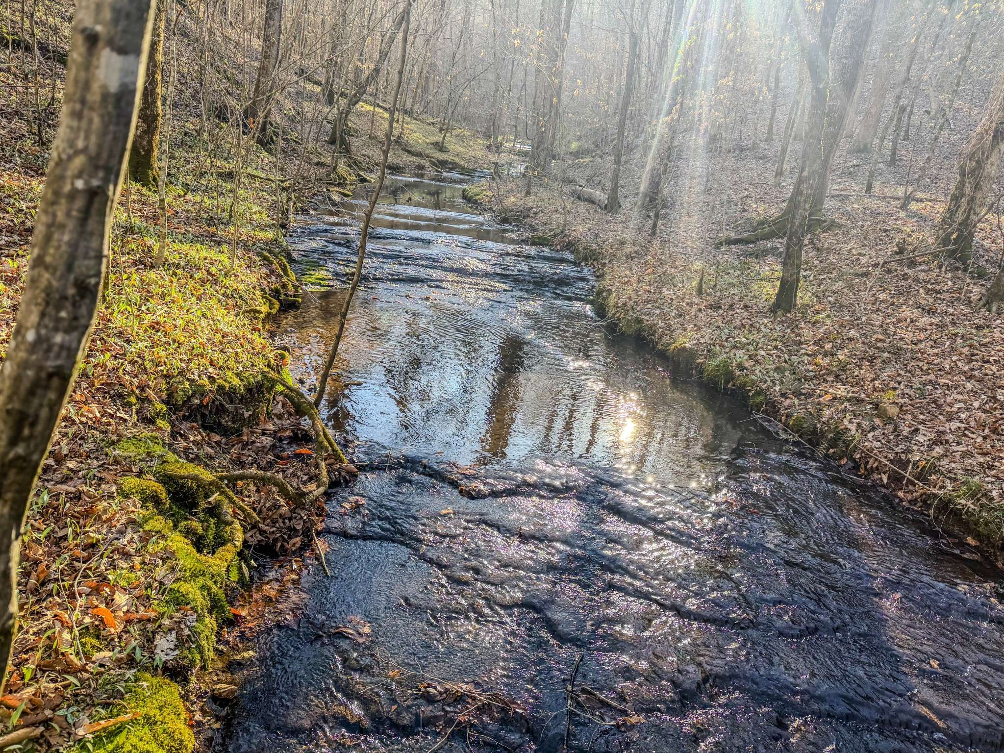 0 Bryant Boswell Rd, Westpoint, TN 38486