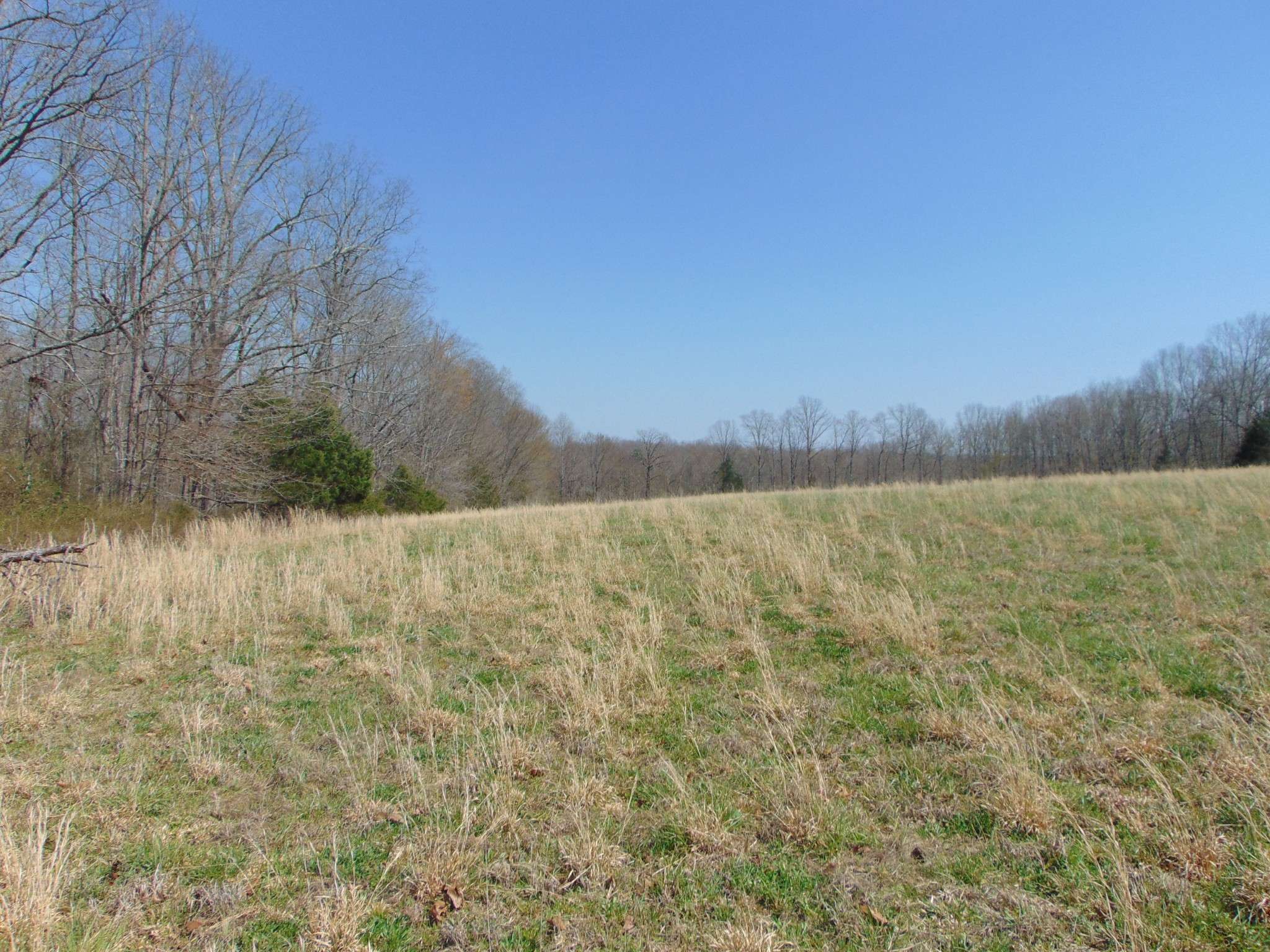 3160 Jimmy Holt Rd, Cypress Inn, TN 38452