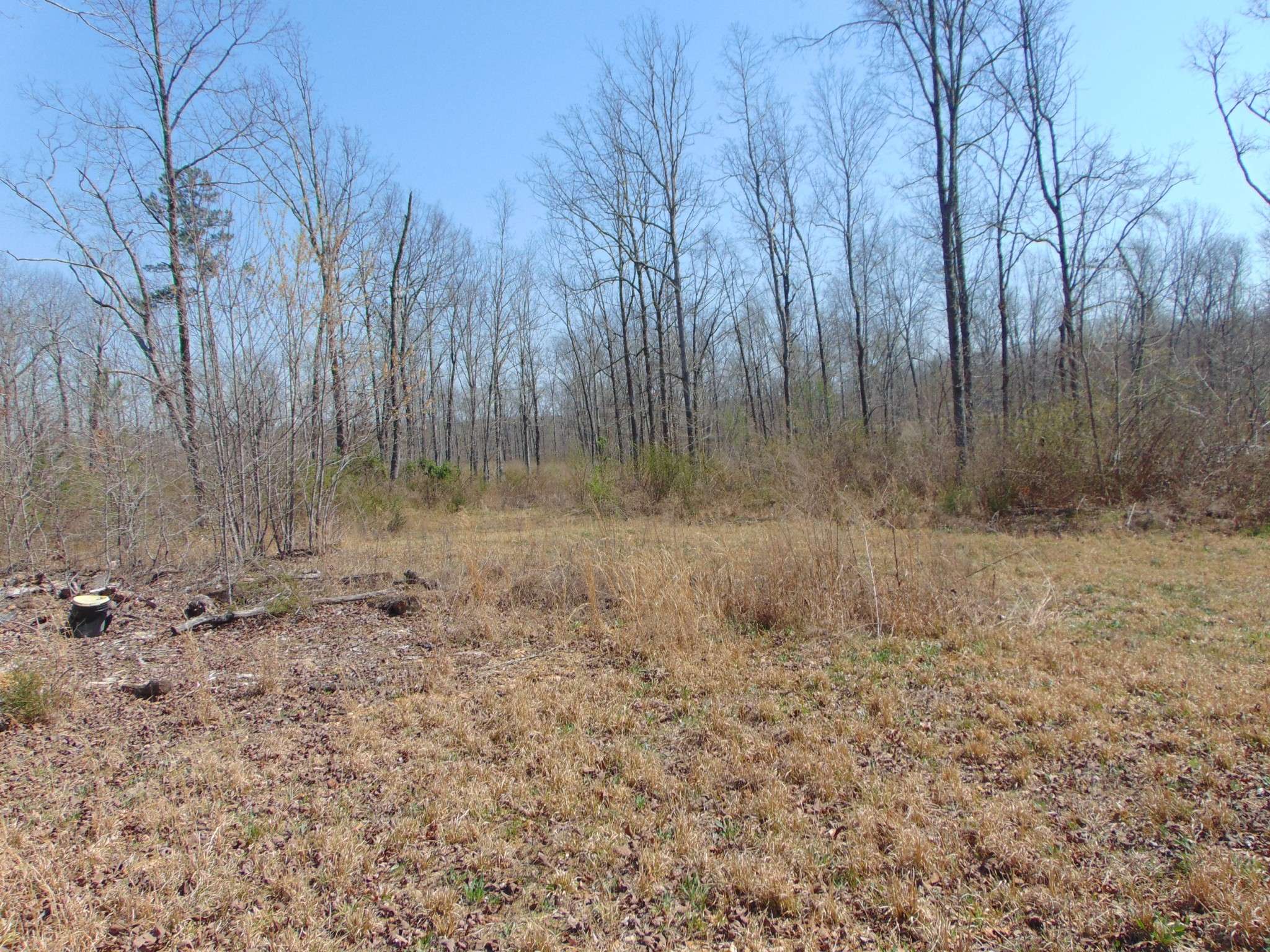 3160 Jimmy Holt Rd, Cypress Inn, TN 38452