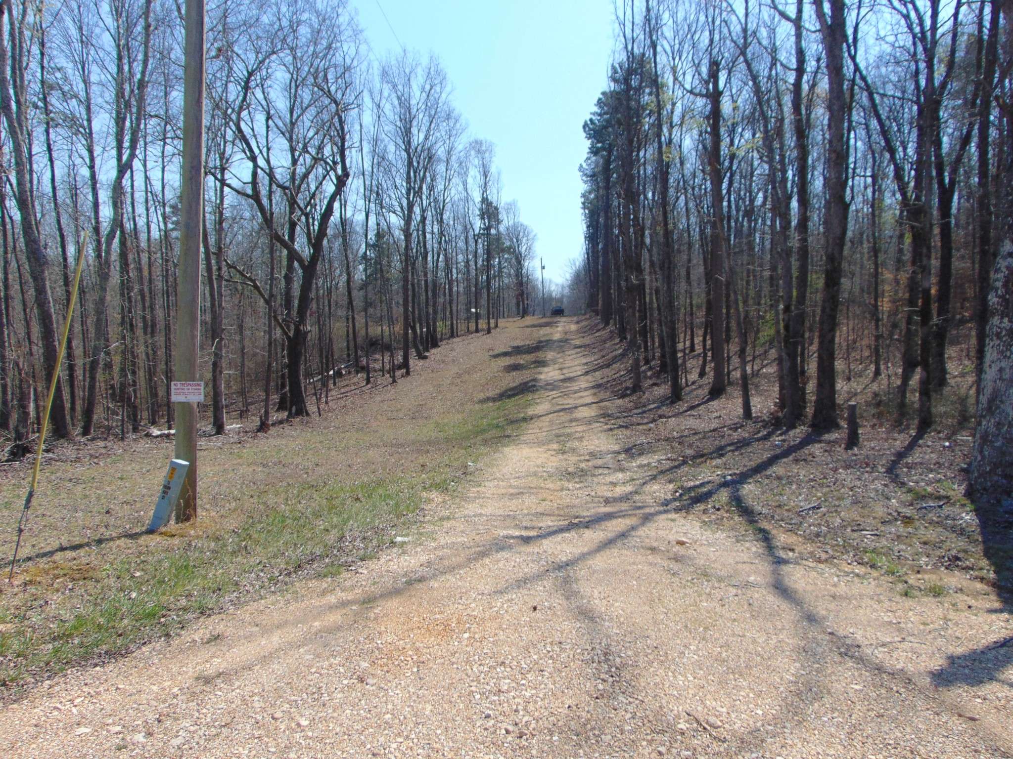 3160 Jimmy Holt Rd, Cypress Inn, TN 38452
