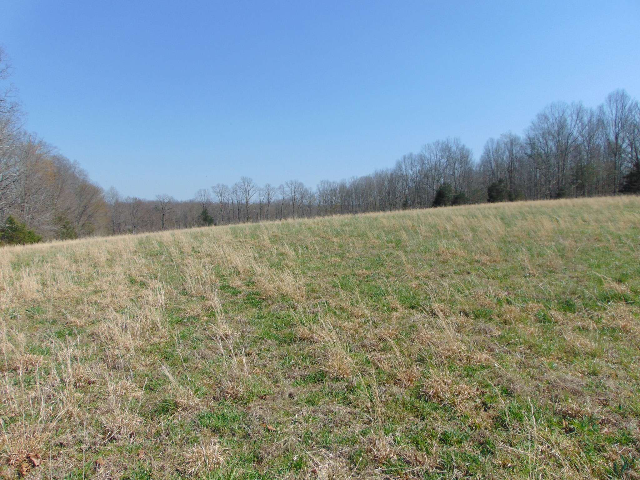 3160 Jimmy Holt Rd, Cypress Inn, TN 38452