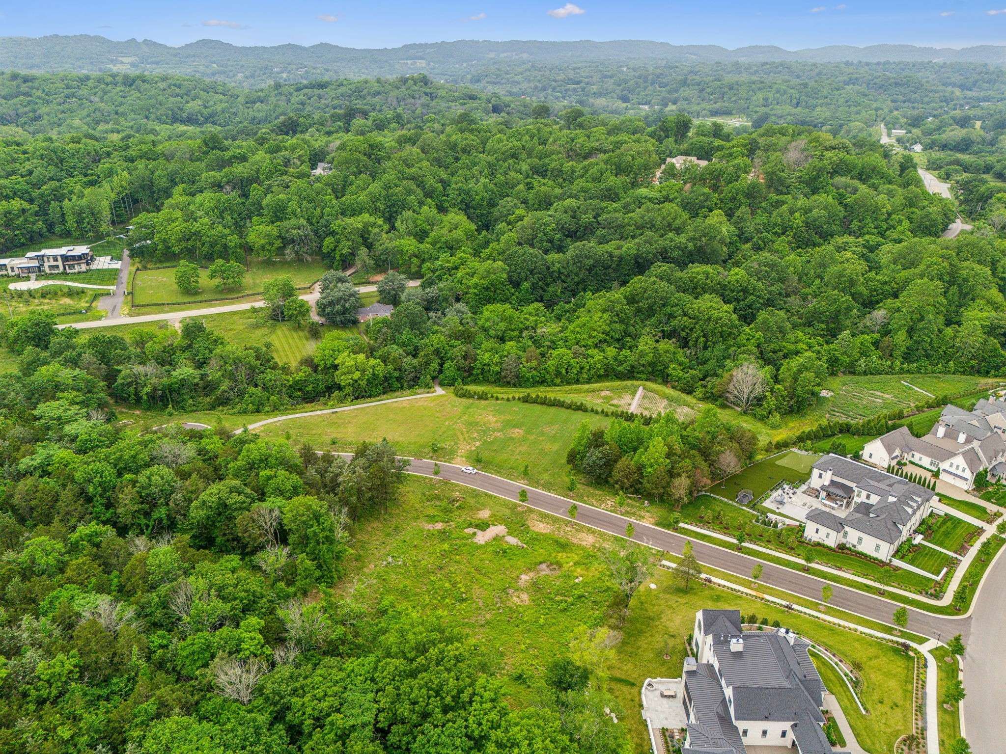 8906 Dovetail Ct, College Grove, TN 37046
