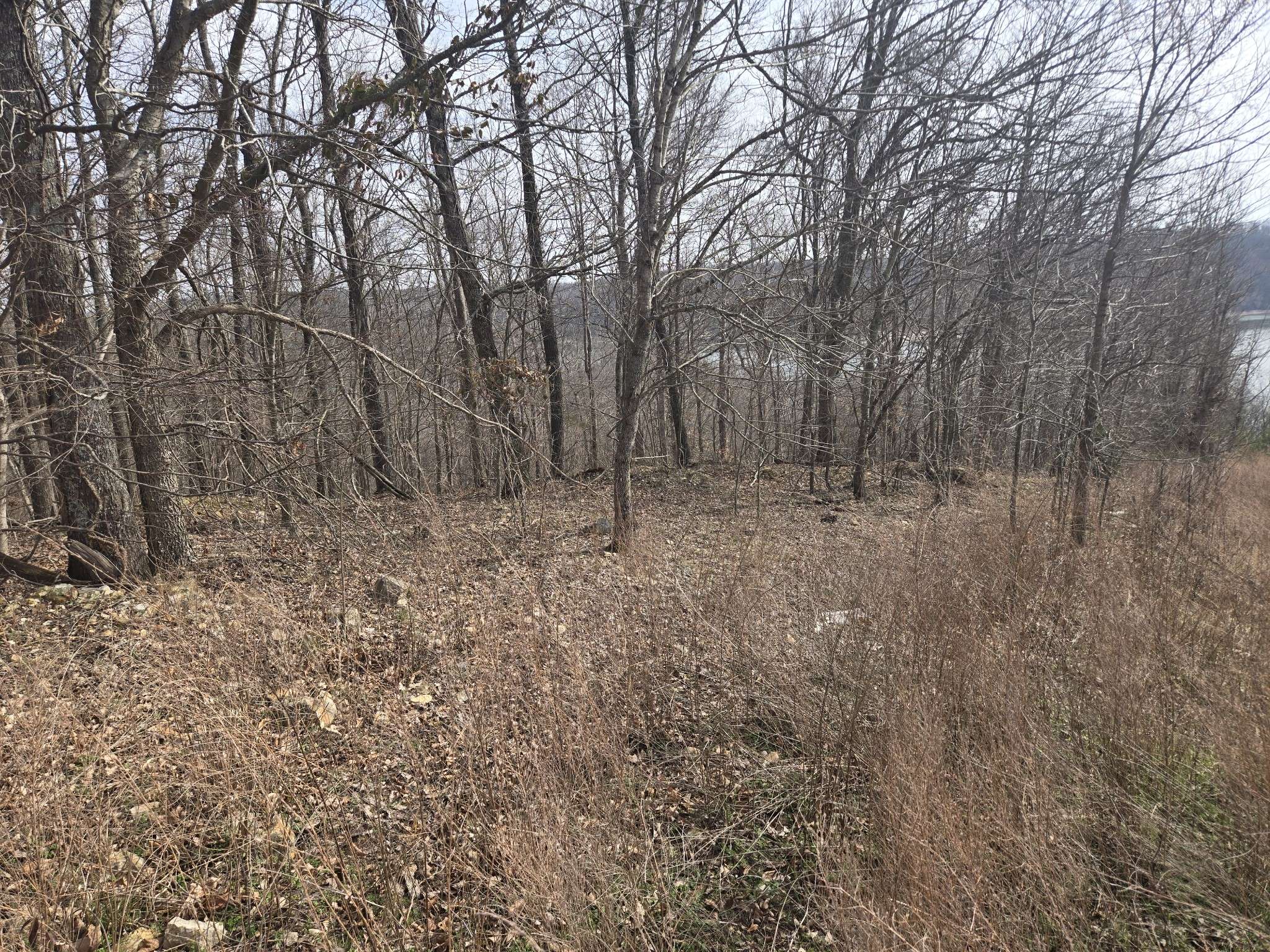0 Cleburne Pt Prince Phillip, Waverly, TN 37185
