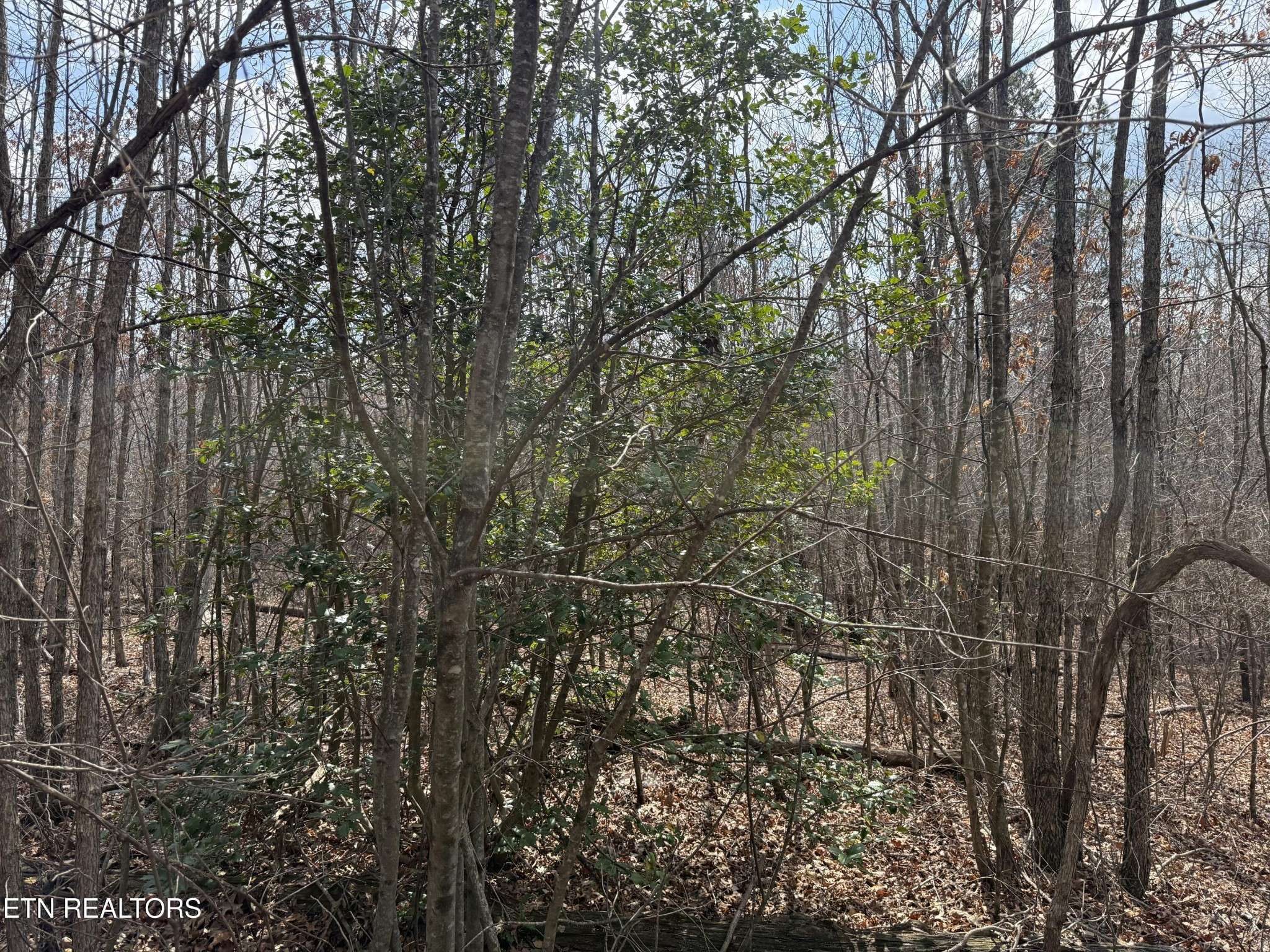 0 Cumberland Lakes Drive, Monterey, TN 38574
