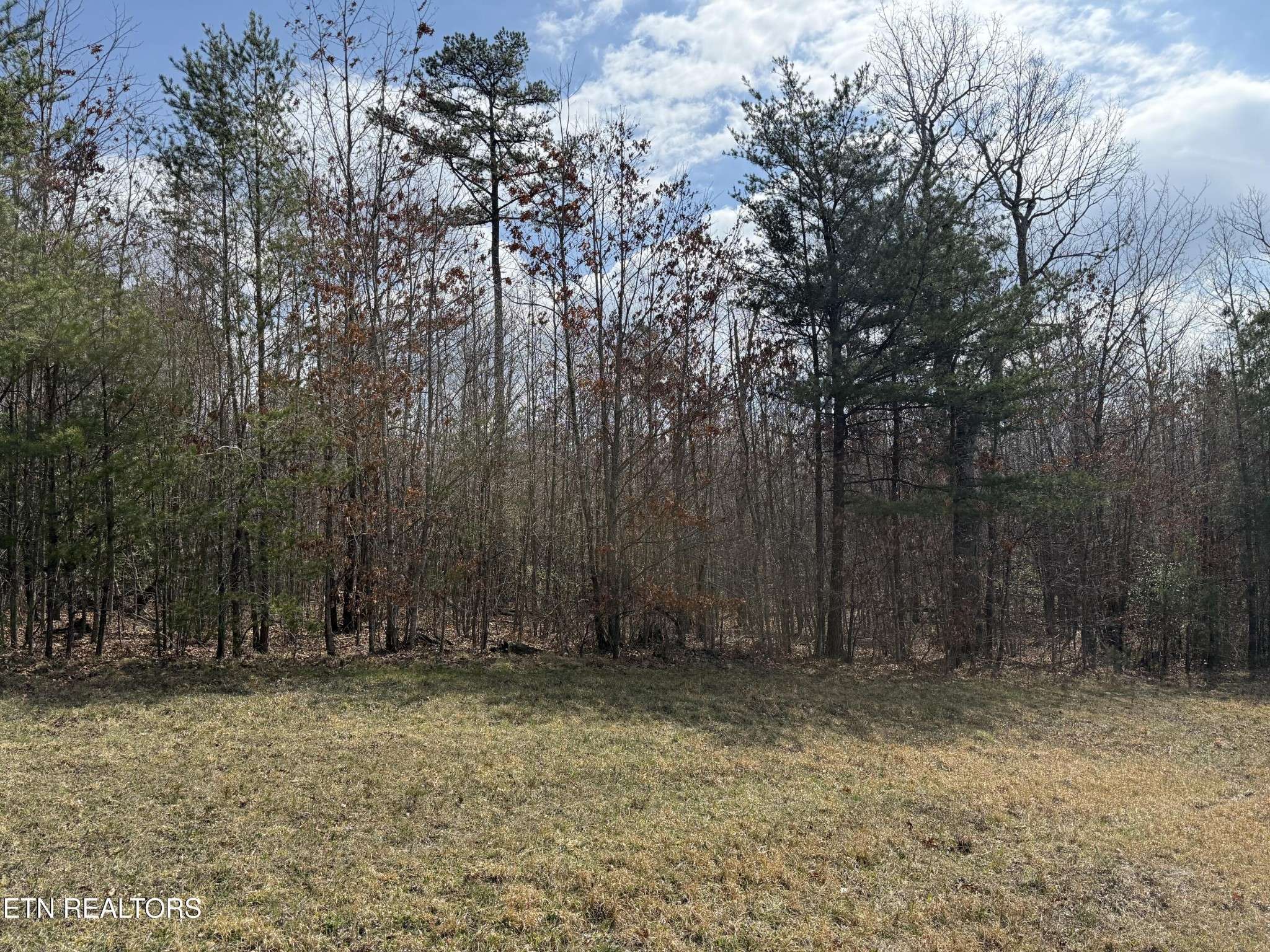 0 Cumberland Lakes Drive, Monterey, TN 38574