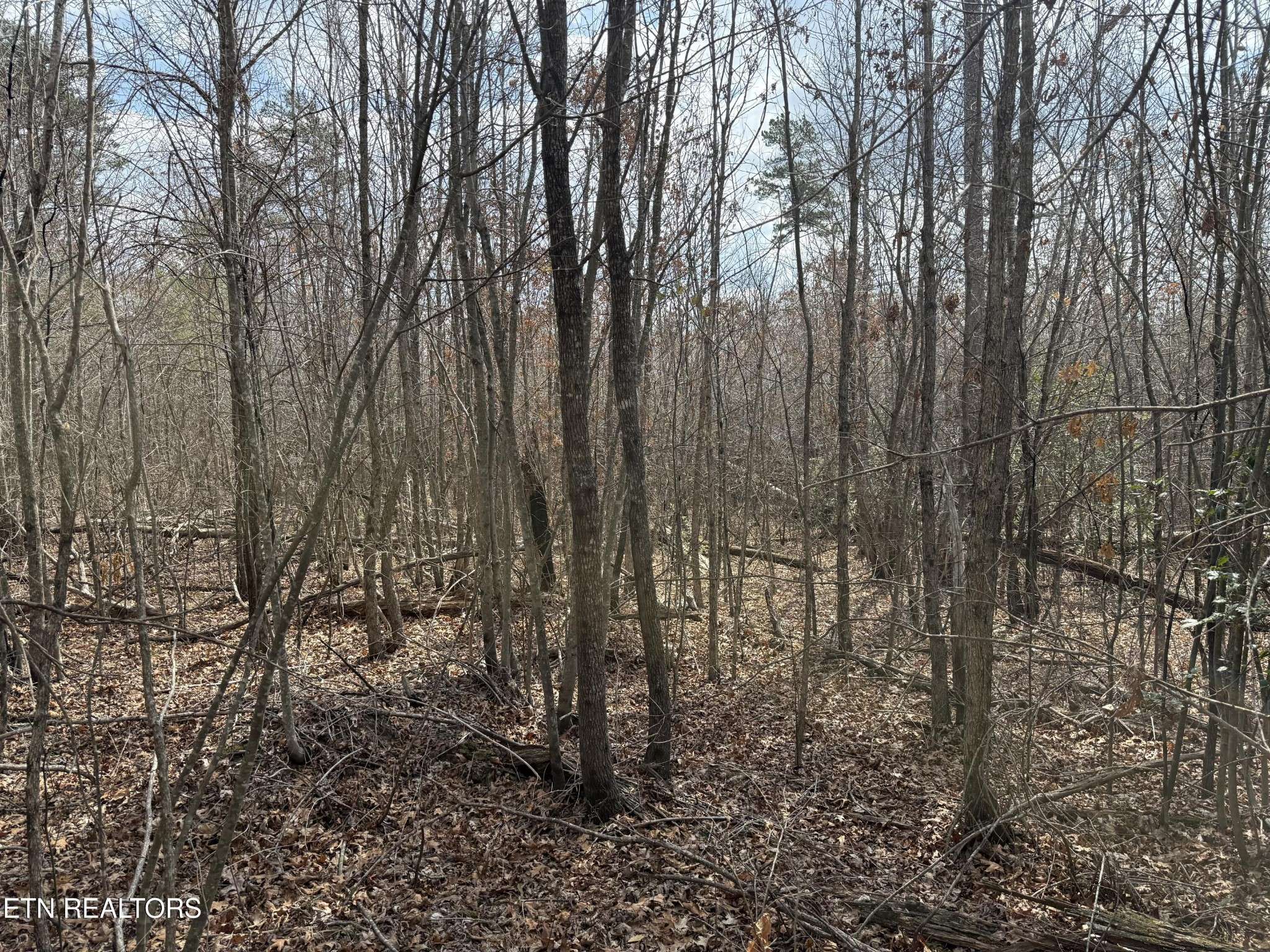 0 Cumberland Lakes Drive, Monterey, TN 38574