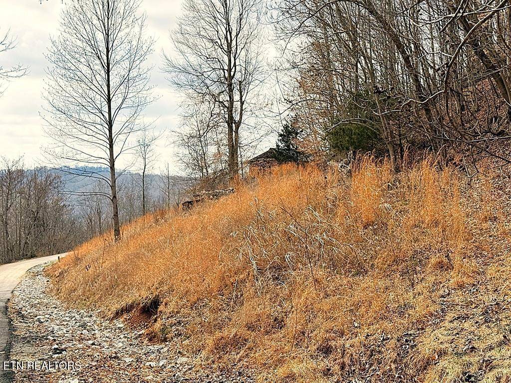 50 Crappie Lane, Hilham, TN 38568