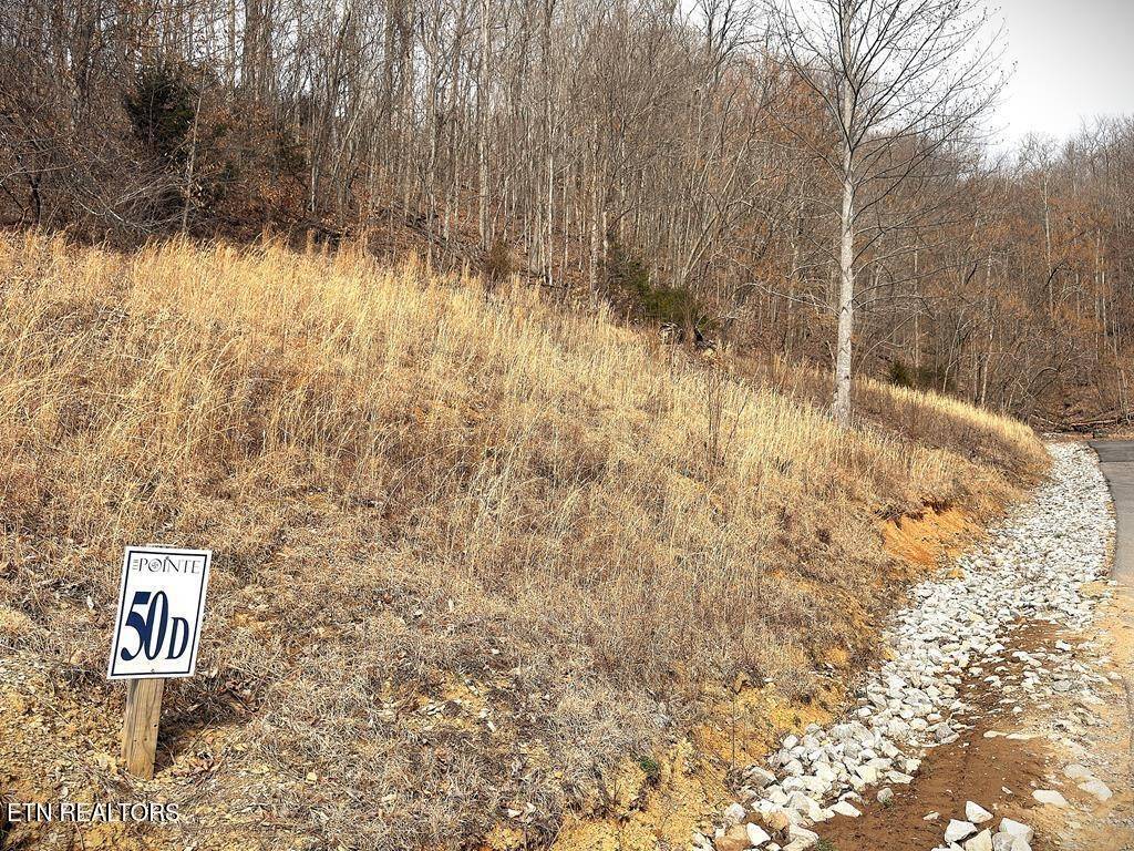 50 Crappie Lane, Hilham, TN 38568