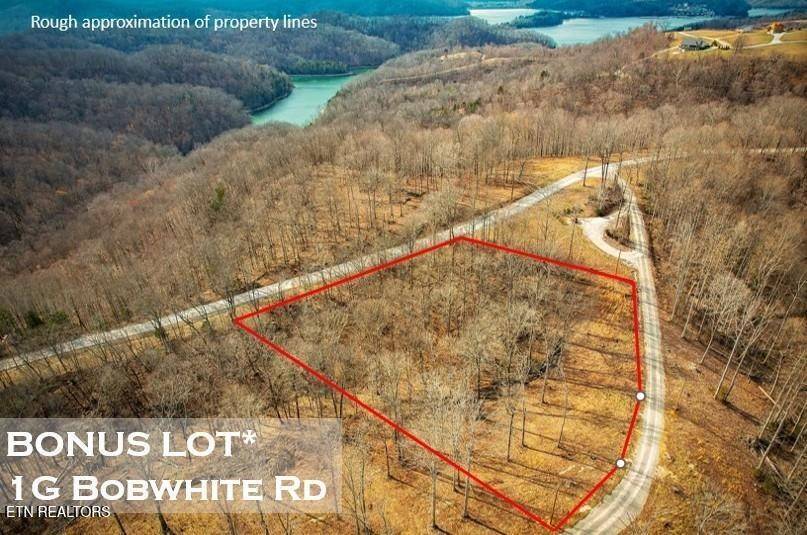 50 Crappie Lane, Hilham, TN 38568