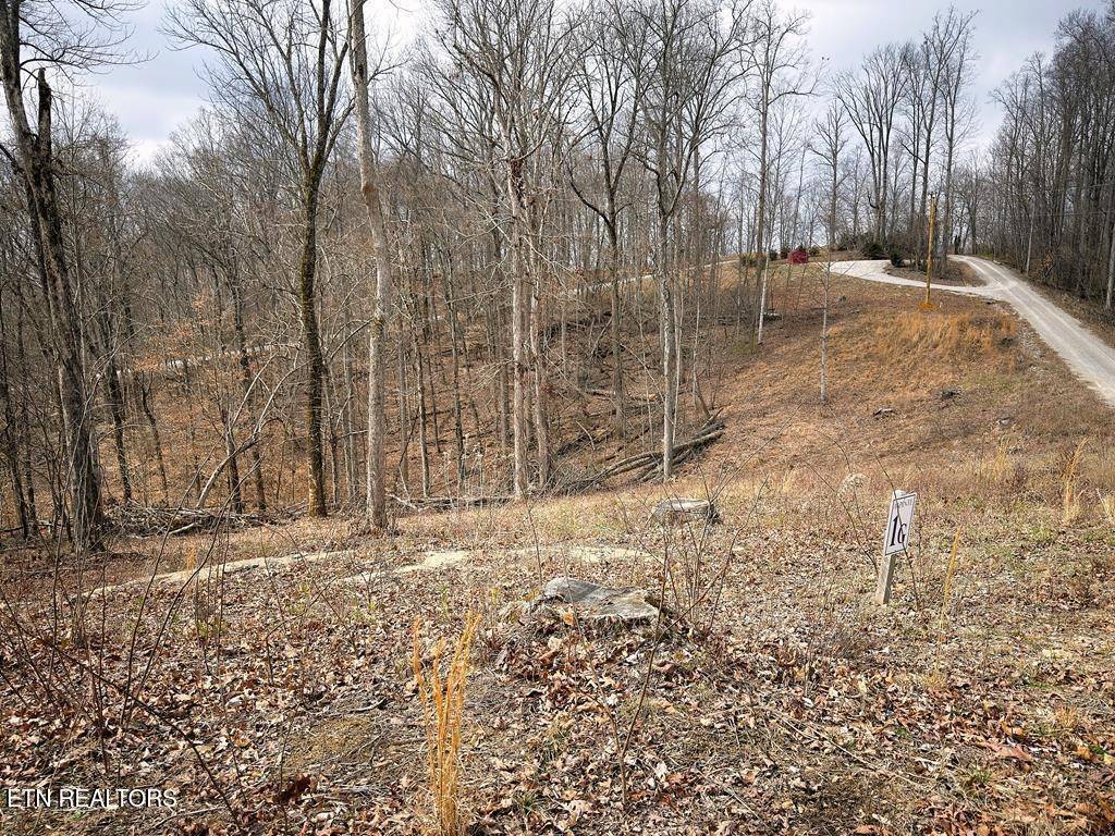 50 Crappie Lane, Hilham, TN 38568