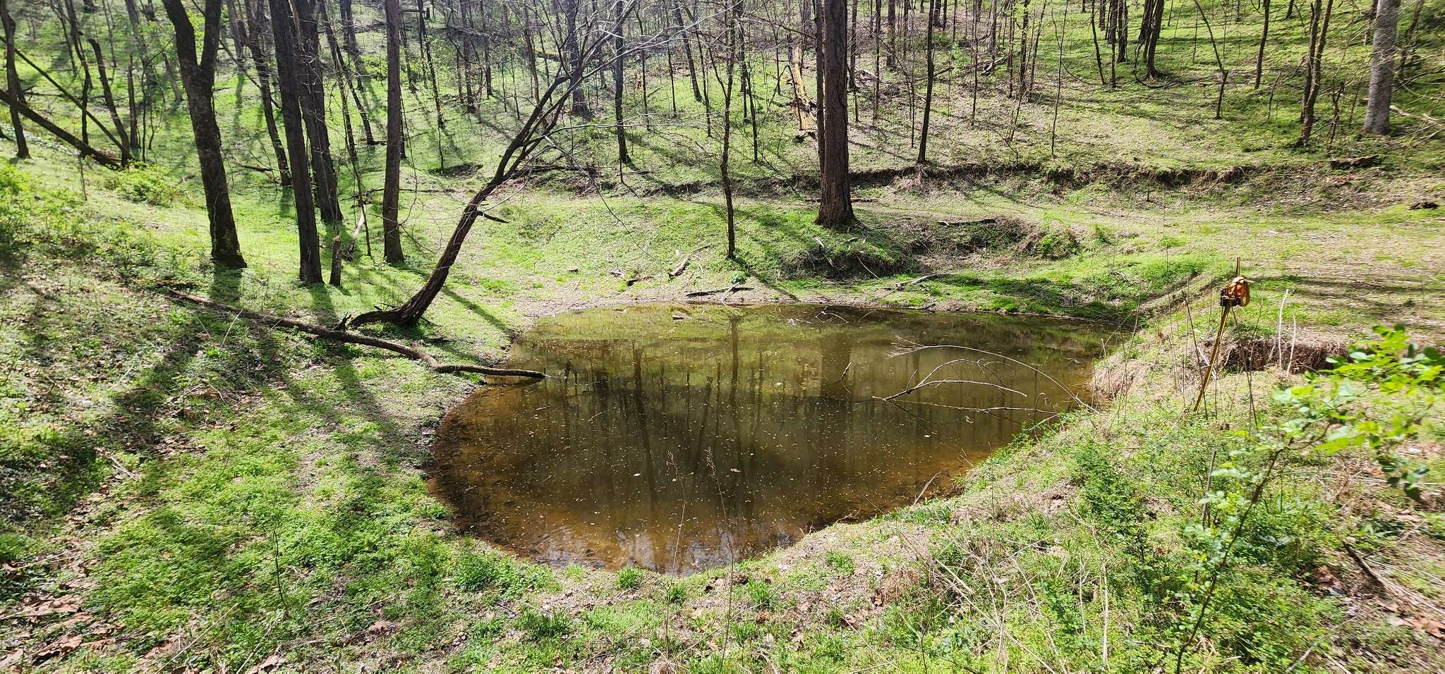 950 Chapman Hollow Rd, Dowelltown, TN 37059