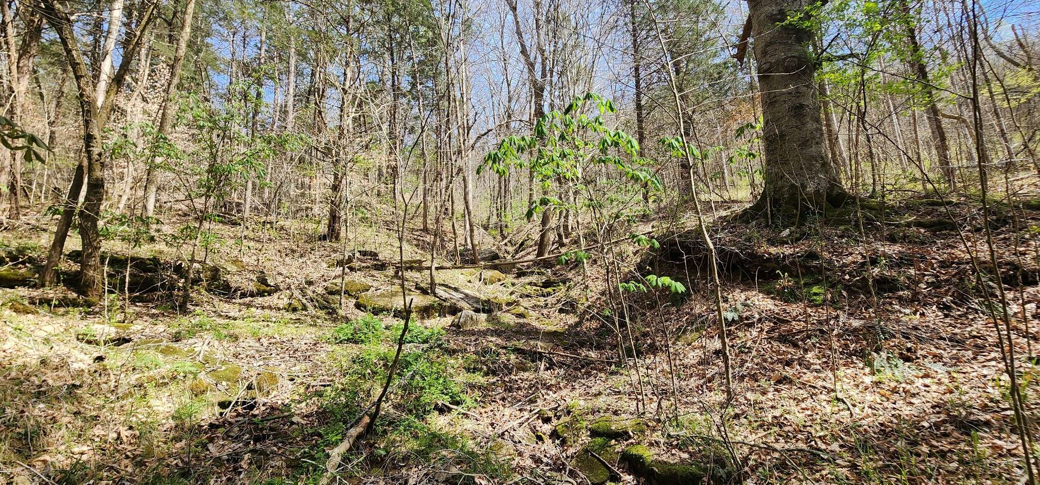 0 Chapman Hollow Rd, Dowelltown, TN 37059