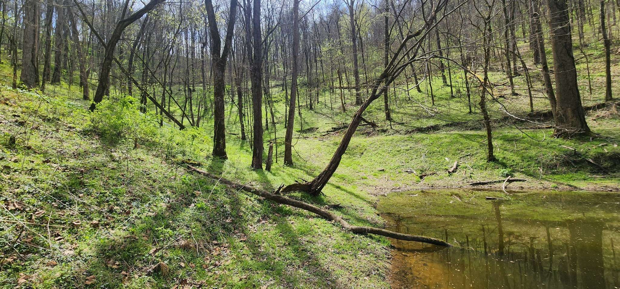 0 Chapman Hollow Rd, Dowelltown, TN 37059