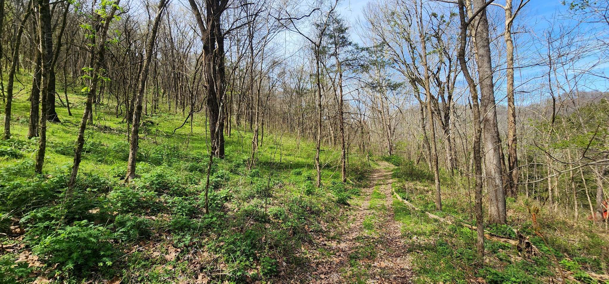 0 Chapman Hollow Rd, Dowelltown, TN 37059