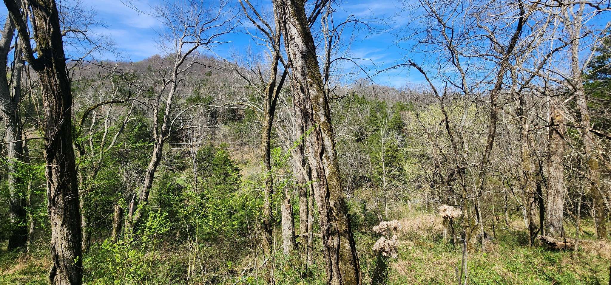 0 Wilson Hollow Rd, Liberty, TN 37095