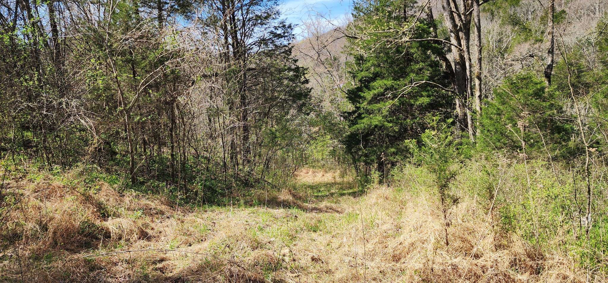 0 Wilson Hollow Rd, Liberty, TN 37095