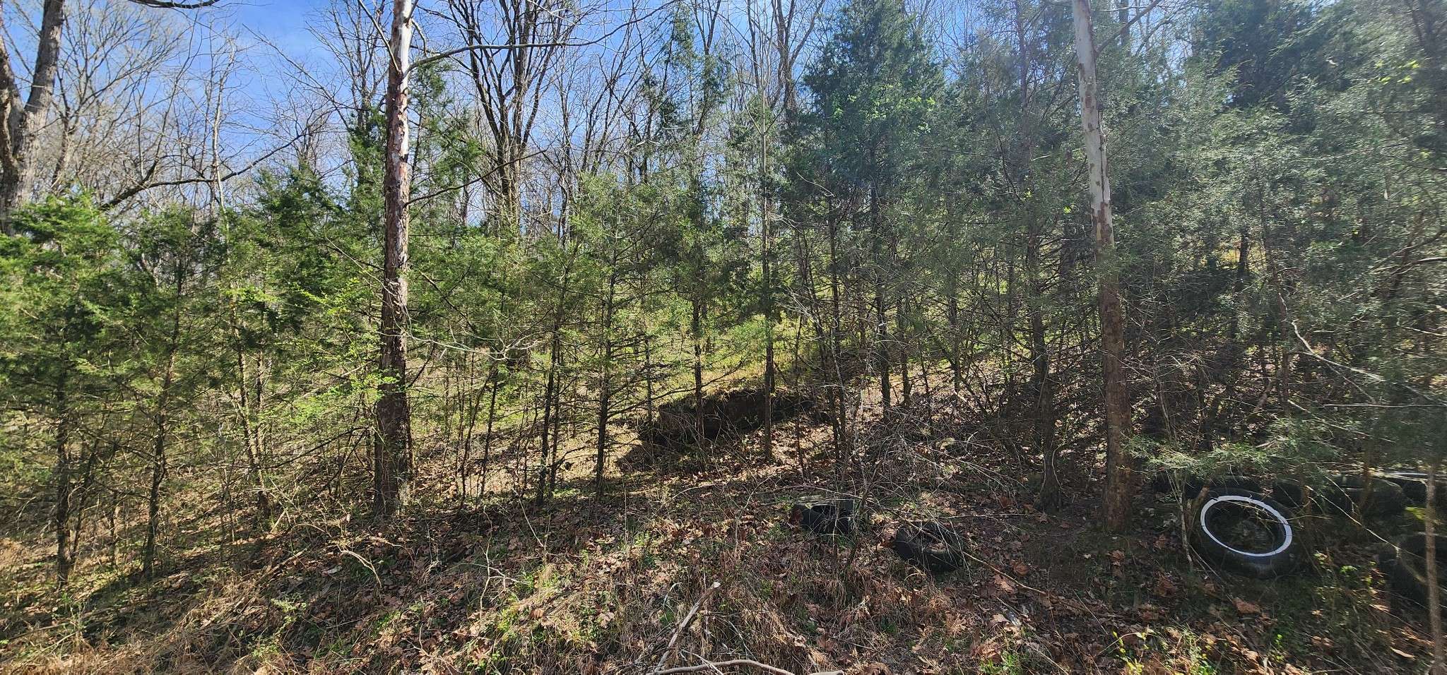 0 Wilson Hollow Rd, Liberty, TN 37095