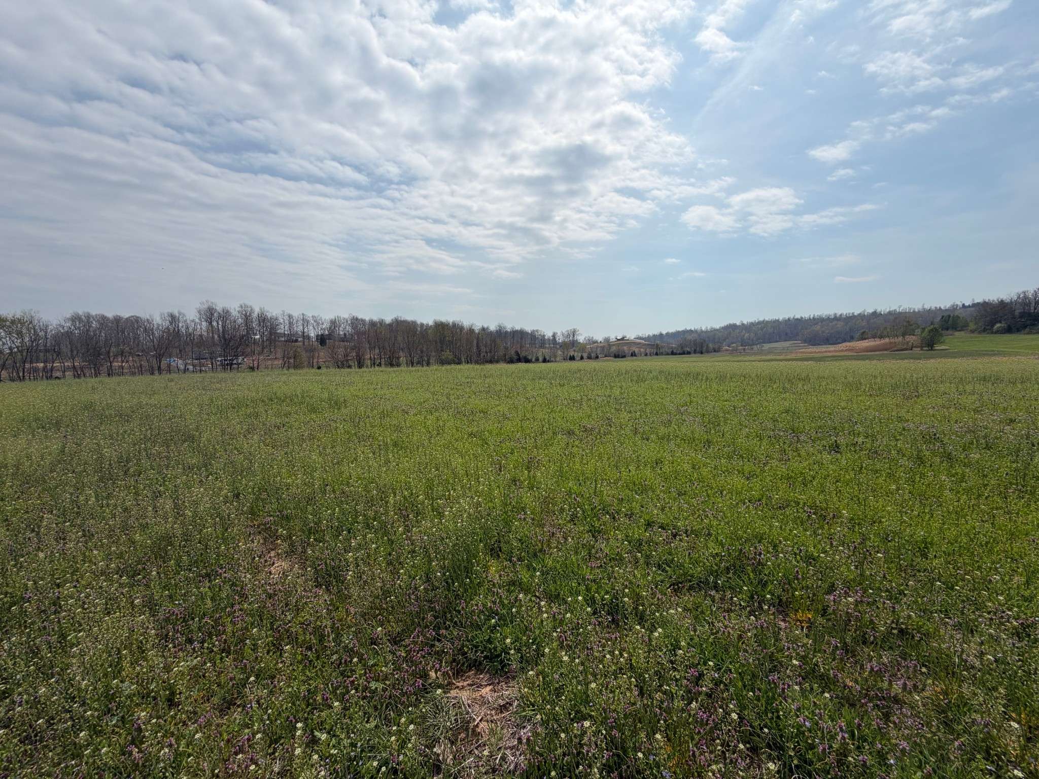 0 State Route 176, Greenville, KY 42345
