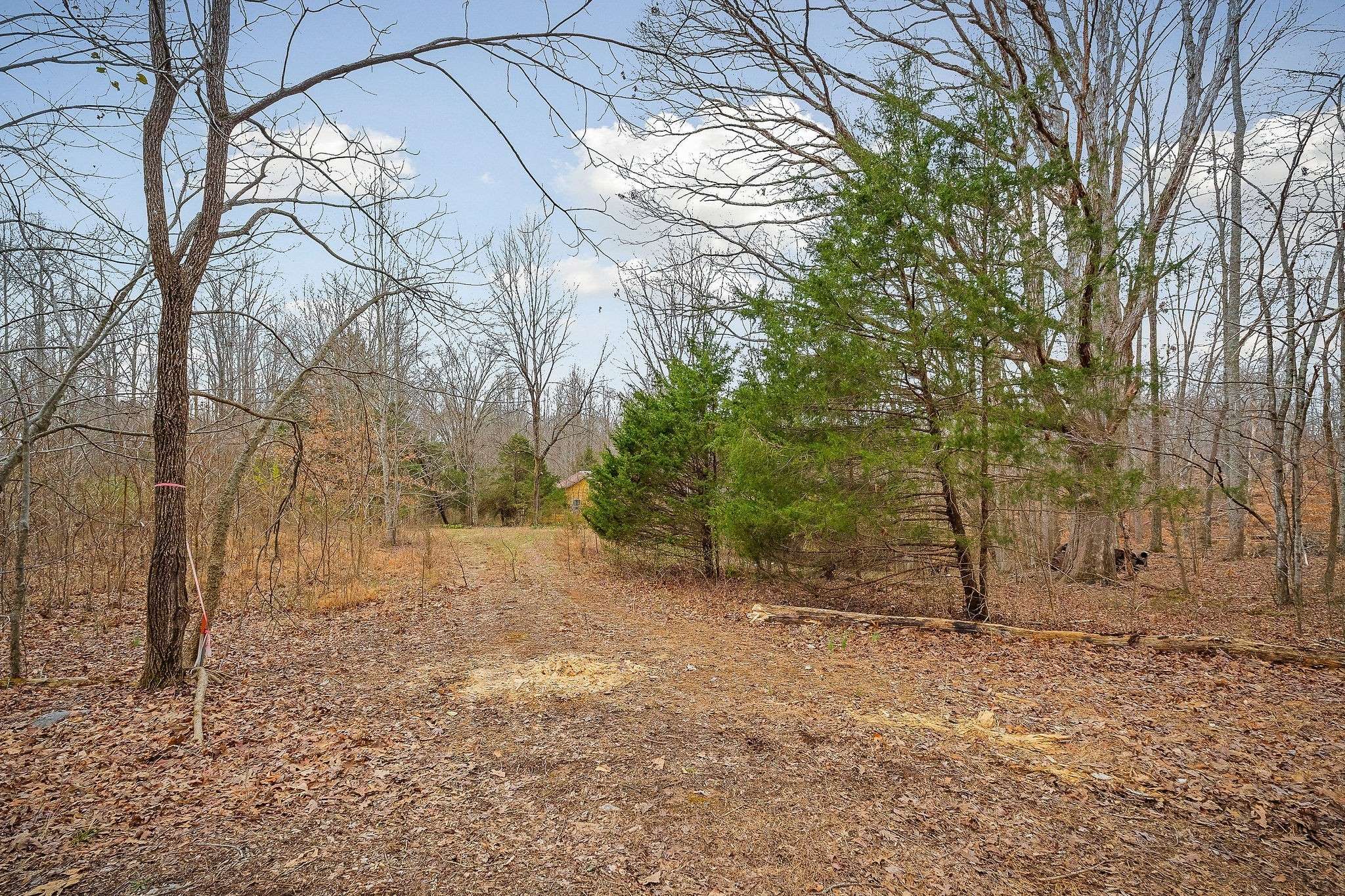 3944 Crawford Rd, Silver Point, TN 38582
