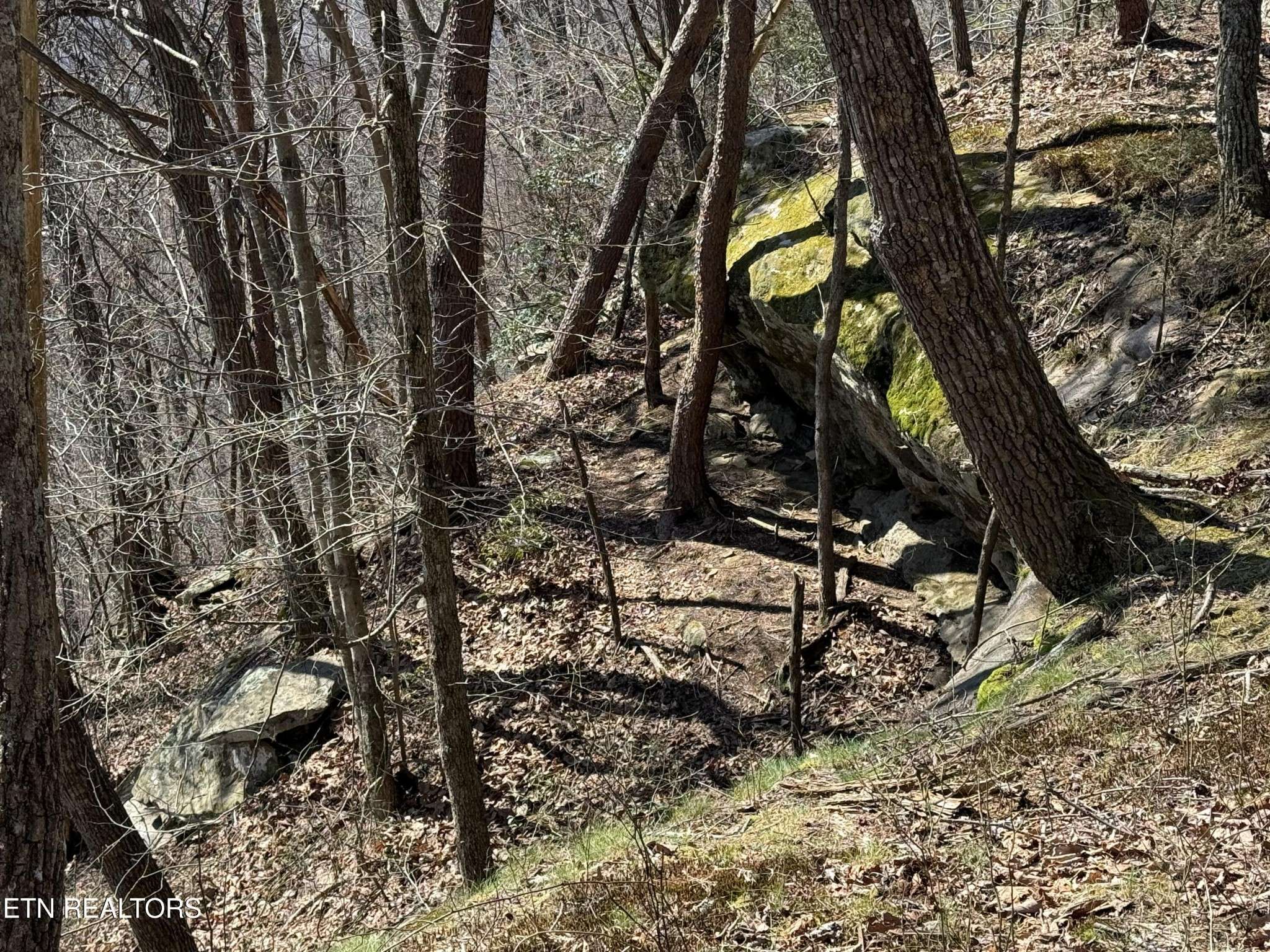 0 Cumberland Cove Rd, Monterey, TN 38574