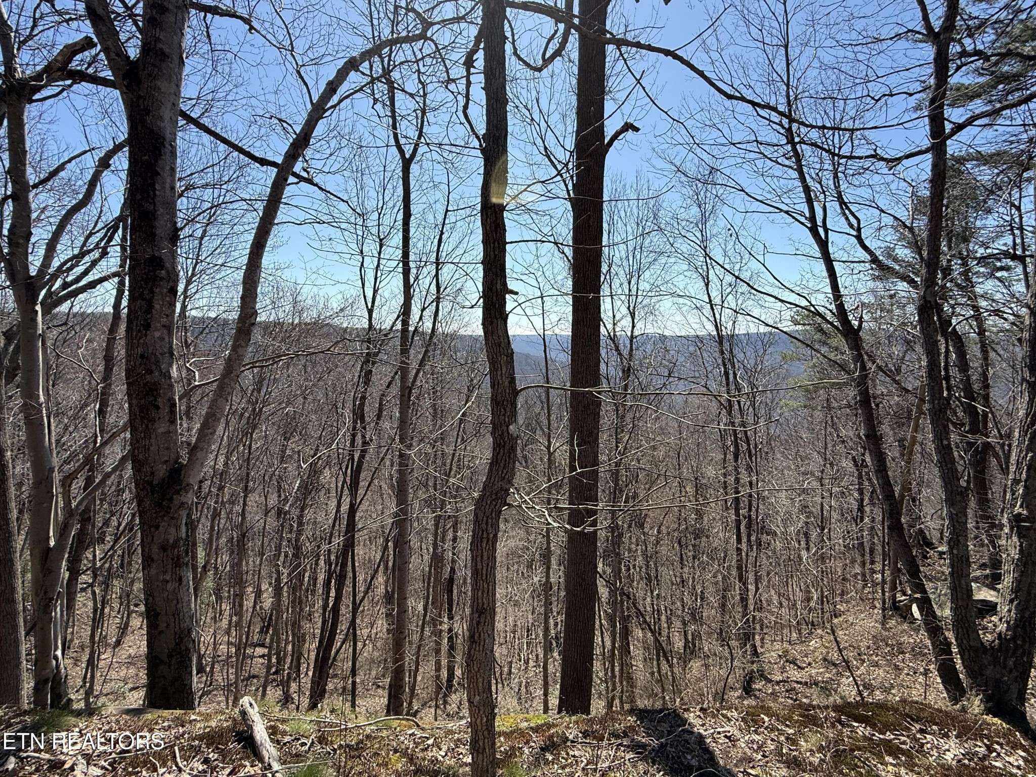 0 Cumberland Cove Rd, Monterey, TN 38574